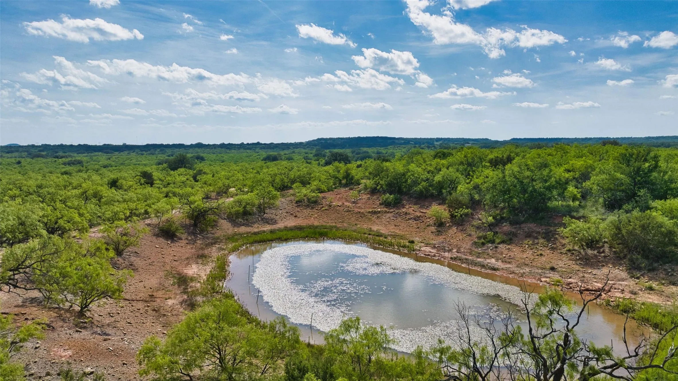 Expansive land parcel featuring a natural pond surrounded by dense green foliage and mature trees