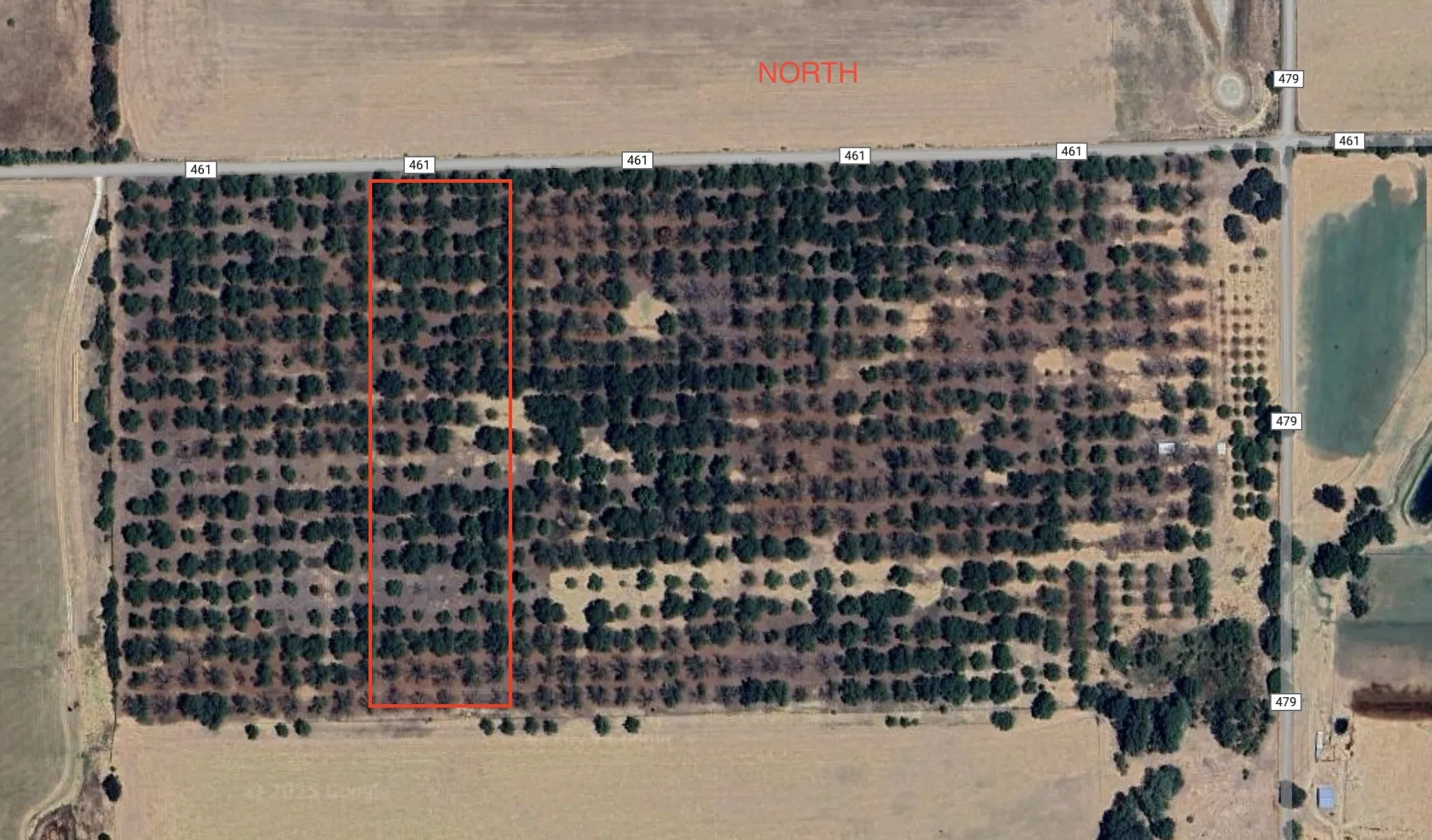 Unimproved Land For Sale in Comanche County , TBD County Road 461, De Leon, Texas 76444, 0, 0, Garage spaces, 0 Sqft, built in 0, Price $165,000, mls#21152732, Real Estate Agent in De Leon, Homes For Sale in Comanche county, Homes For Sale in De Leon, Realtor in De Leon Texas, Real Estate Brokerage Independent Realty Texas, Luminita Cordes Realtor