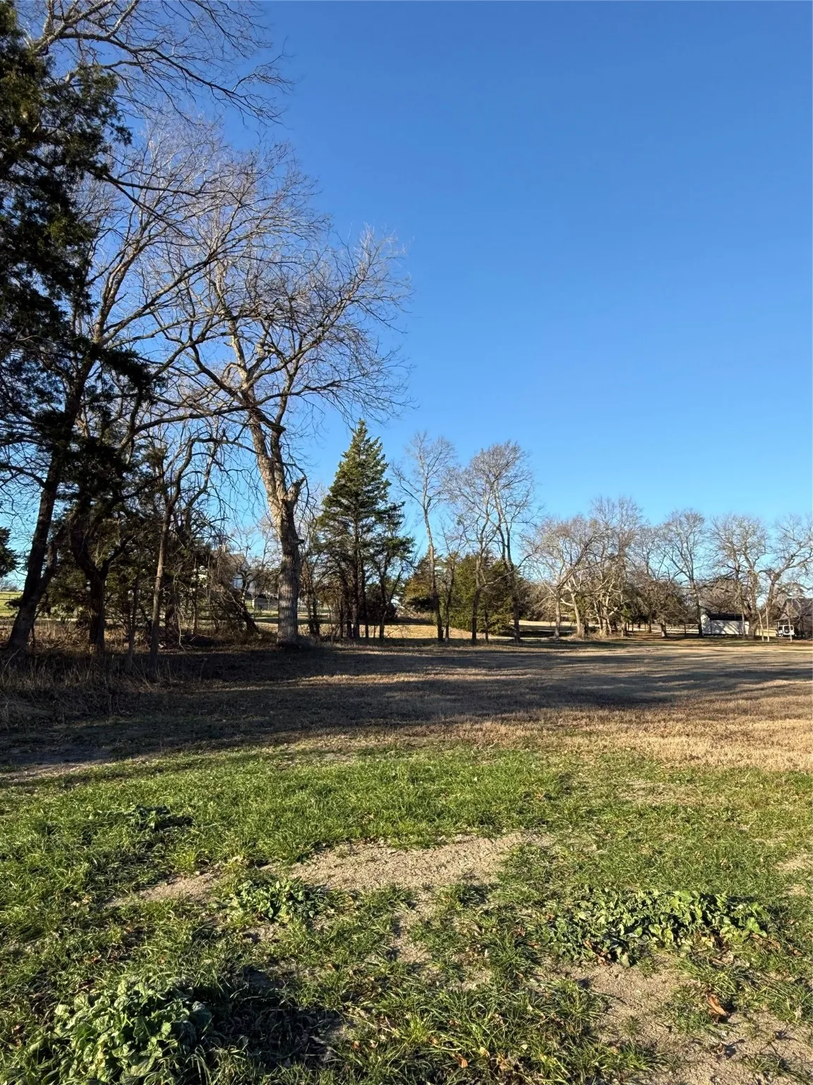 Unimproved Land For Sale in Collin County , TBD FM 1827, Anna, Texas 75409, 0, 0, Garage spaces, 0 Sqft, built in 0, Price $599,000, mls#21152803, Real Estate Agent in Anna, Homes For Sale in Collin county, Homes For Sale in Anna, Realtor in Anna Texas, Real Estate Brokerage Independent Realty Texas, Luminita Cordes Realtor