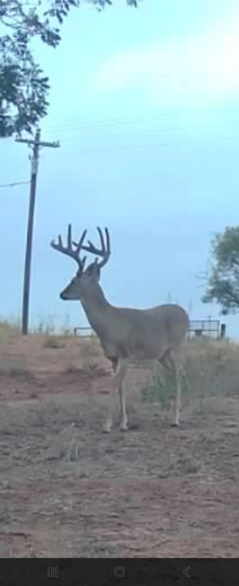 Improved Land For Sale in Haskell County , TBD CR 148, Rule, Texas 79547, 0, 0, Garage spaces, 0 Sqft, built in 0, mls#21145665, Real Estate Agent in Rule, Homes For Sale in Haskell county, Homes For Sale in Rule, Realtor in Rule Texas, Real Estate Brokerage Independent Realty Texas, Luminita Cordes Realtor
