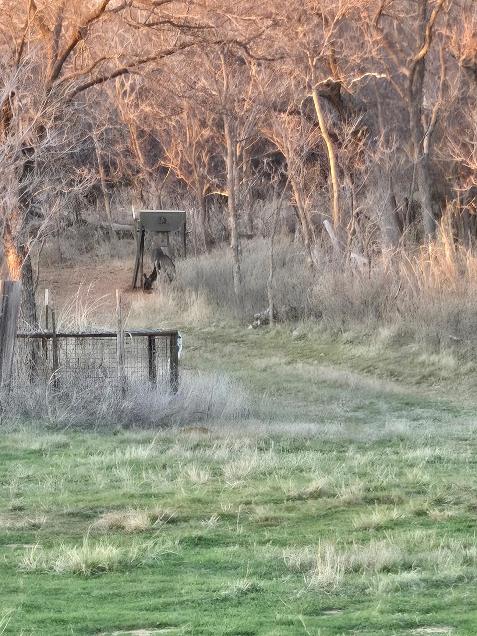 Improved Land For Sale in Haskell County , TBD CR 148, Rule, Texas 79547, 0, 0, Garage spaces, 0 Sqft, built in 0, mls#21145665, Real Estate Agent in Rule, Homes For Sale in Haskell county, Homes For Sale in Rule, Realtor in Rule Texas, Real Estate Brokerage Independent Realty Texas, Luminita Cordes Realtor