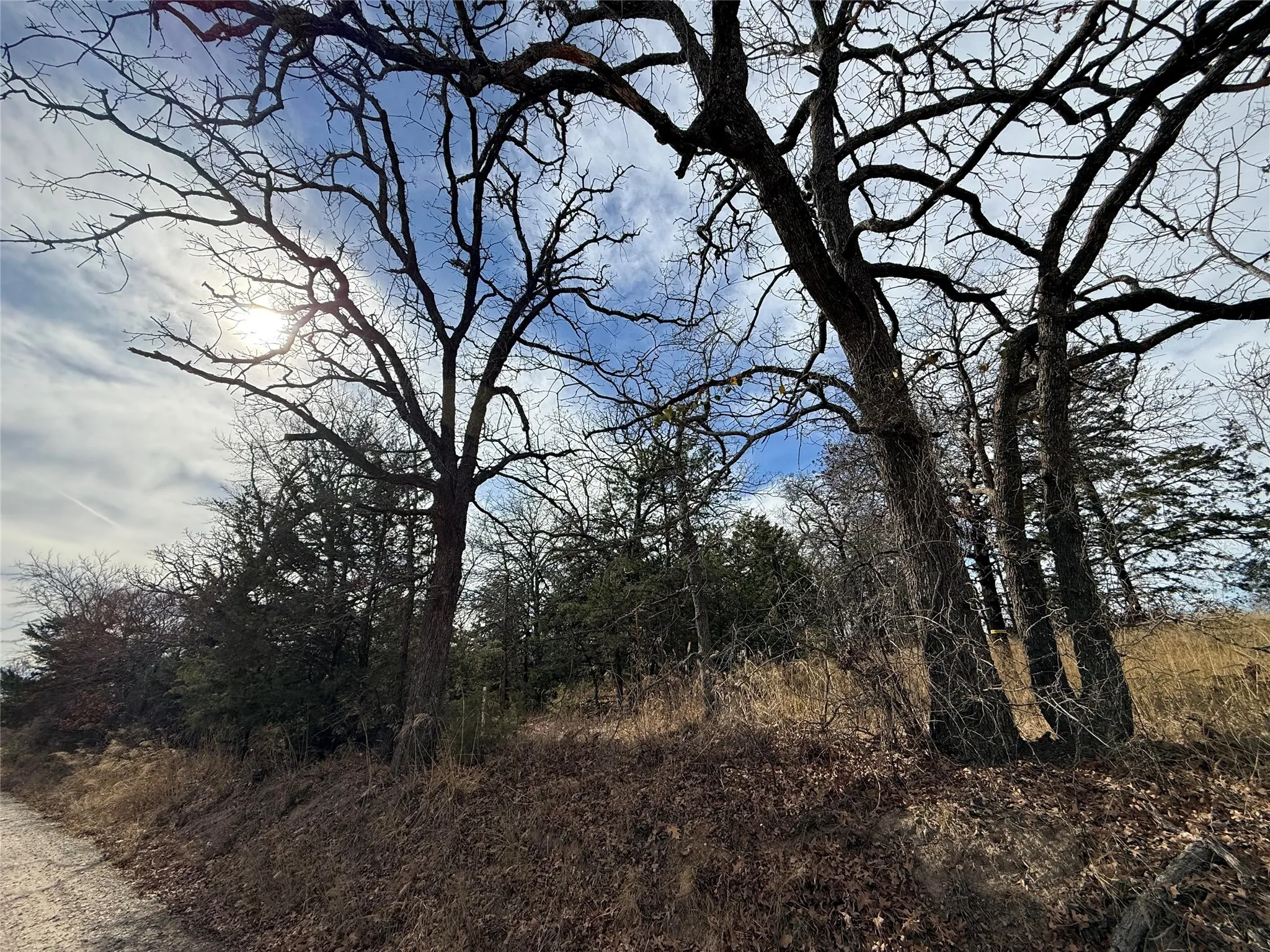 Unimproved Land For Sale in Grayson County , 2 Summit Oaks Circle, Denison, Texas 75020, 0, 0, Garage spaces, 0 Sqft, built in 0, mls#21153046, Real Estate Agent in Denison, Homes For Sale in Grayson county, Homes For Sale in Denison, Realtor in Denison Texas, Real Estate Brokerage Independent Realty Texas, Luminita Cordes Realtor