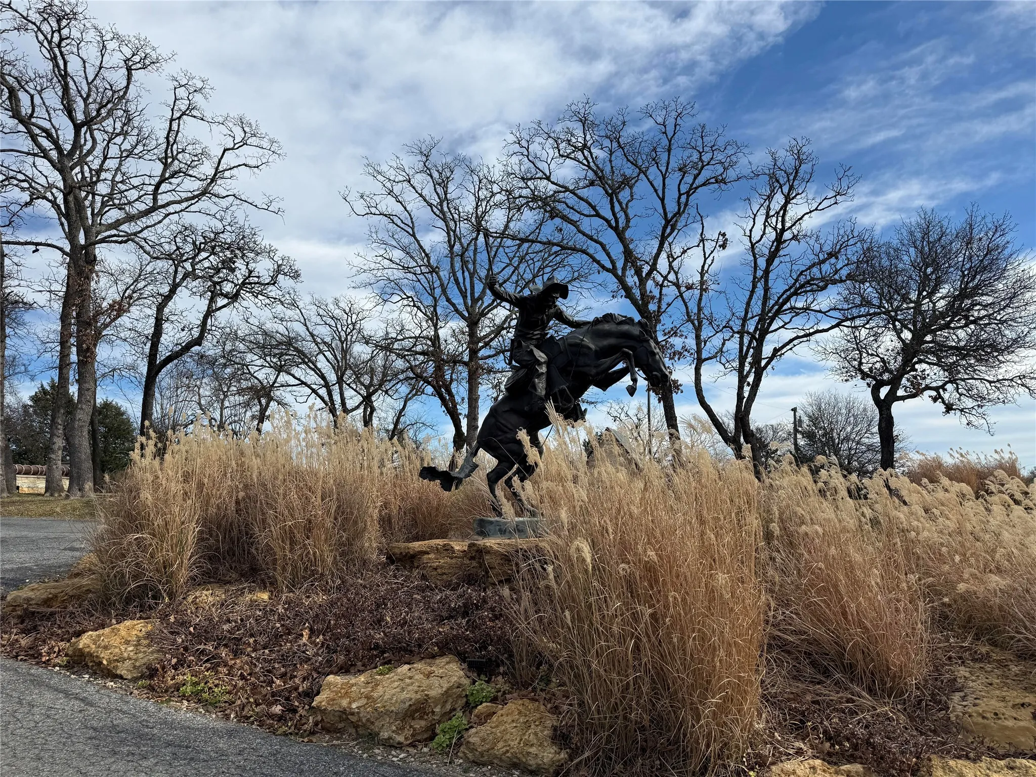 Unimproved Land For Sale in Grayson County , 2 Summit Oaks Circle, Denison, Texas 75020, 0, 0, Garage spaces, 0 Sqft, built in 0, mls#21153046, Real Estate Agent in Denison, Homes For Sale in Grayson county, Homes For Sale in Denison, Realtor in Denison Texas, Real Estate Brokerage Independent Realty Texas, Luminita Cordes Realtor