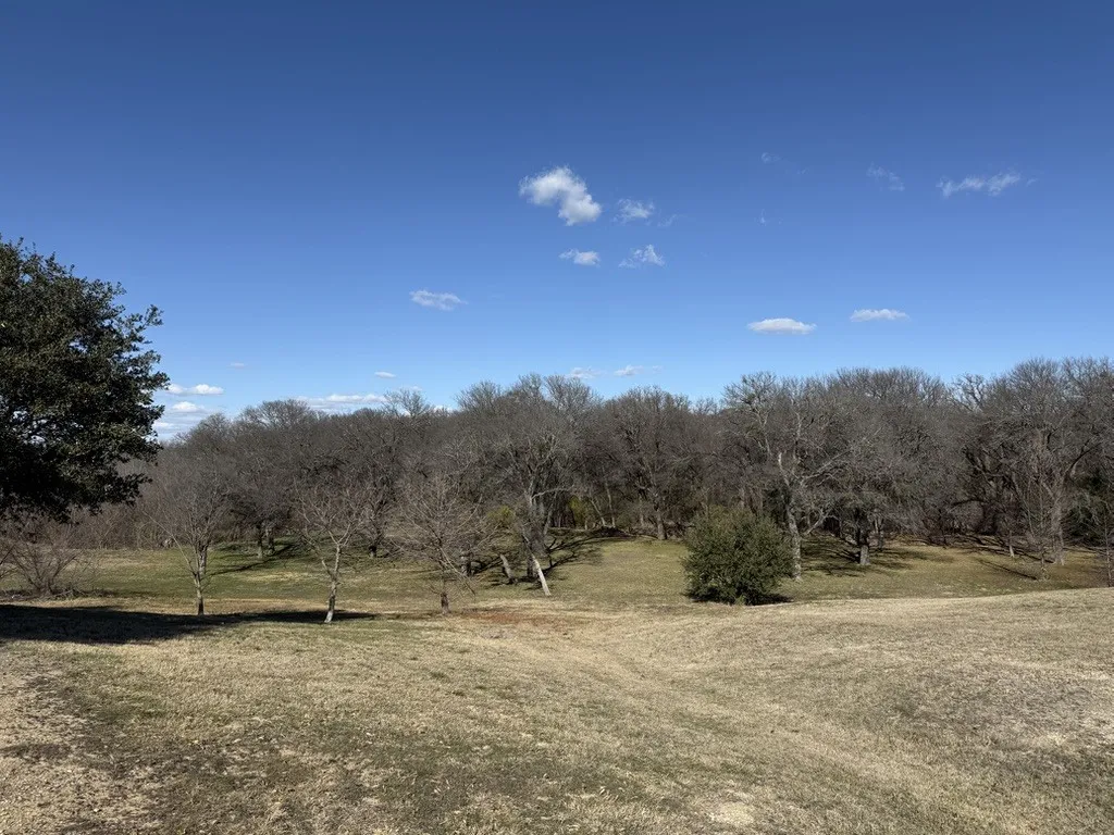 Unimproved Land For Sale in Ellis County , 2453 Creekwood Drive, Cedar Hill, Texas 75104, 0, 0, Garage spaces, 0 Sqft, built in 0, mls#21153127, Real Estate Agent in Cedar Hill, Homes For Sale in Ellis county, Homes For Sale in Cedar Hill, Realtor in Cedar Hill Texas, Real Estate Brokerage Independent Realty Texas, Luminita Cordes Realtor