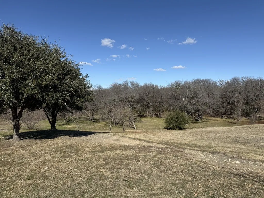 Unimproved Land For Sale in Ellis County , 2453 Creekwood Drive, Cedar Hill, Texas 75104, 0, 0, Garage spaces, 0 Sqft, built in 0, mls#21153127, Real Estate Agent in Cedar Hill, Homes For Sale in Ellis county, Homes For Sale in Cedar Hill, Realtor in Cedar Hill Texas, Real Estate Brokerage Independent Realty Texas, Luminita Cordes Realtor