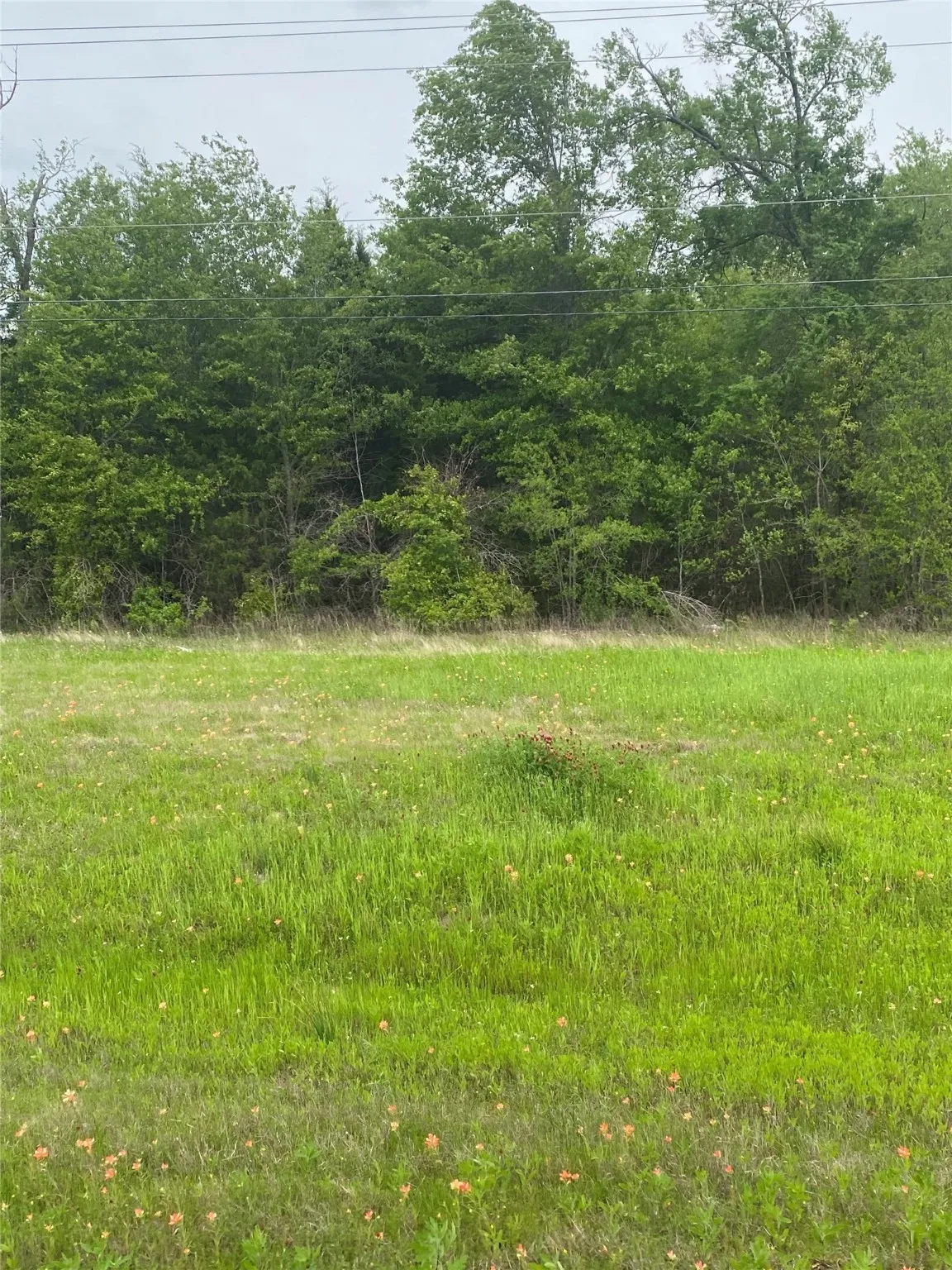 Unimproved Land For Sale in Henderson County , 0 N US Hwy 175, Athens, Texas 75751, 0, 0, Garage spaces, 0 Sqft, built in 0, Price $89,000, mls#21153170, Real Estate Agent in Athens, Homes For Sale in Henderson county, Homes For Sale in Athens, Realtor in Athens Texas, Real Estate Brokerage Independent Realty Texas, Luminita Cordes Realtor