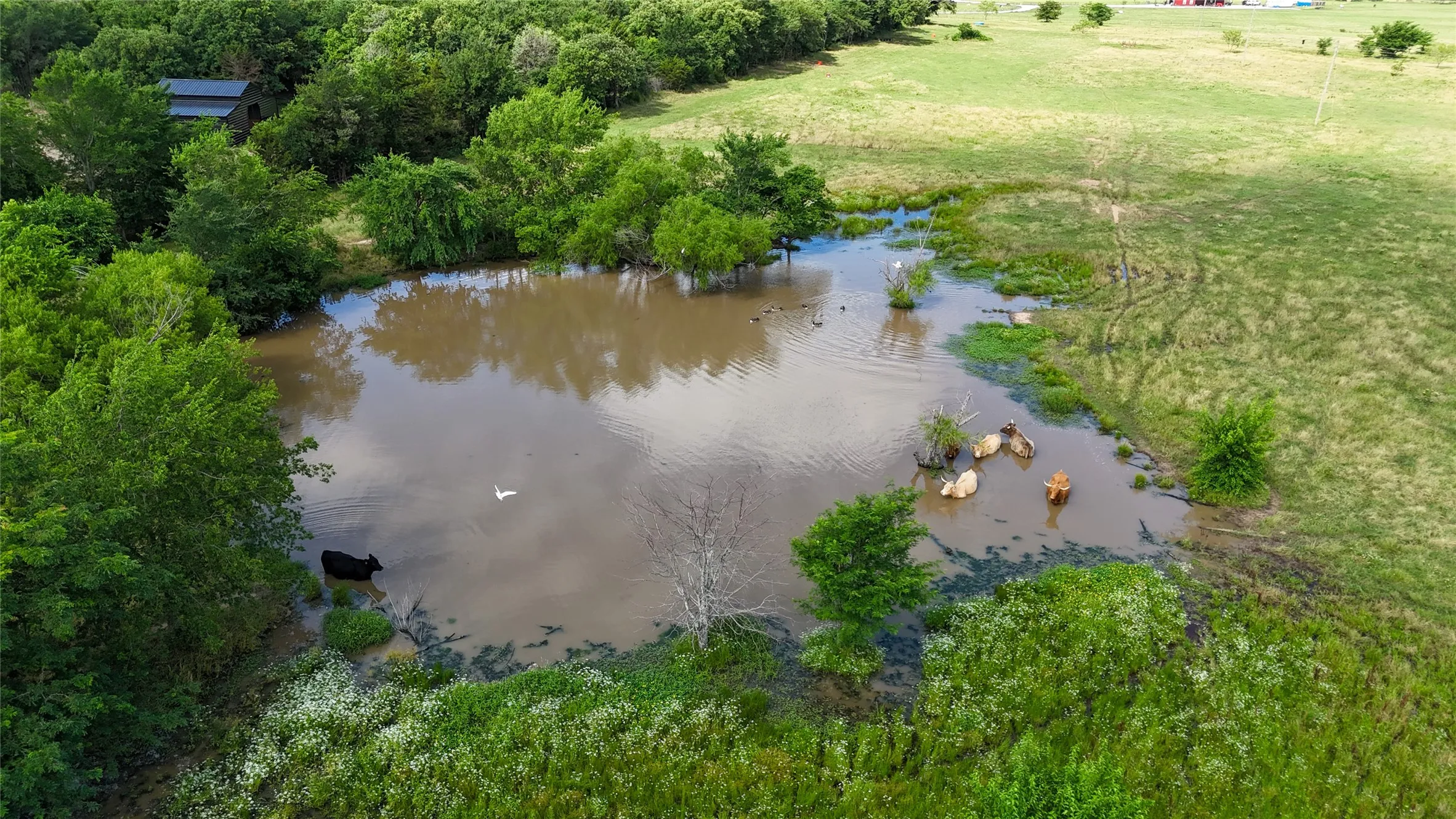 Unimproved Land For Sale in Cooke County , TBD CR 166, Callisburg, Texas 76273, 0, 0, Garage spaces, 0 Sqft, built in 0, Price $282,000, mls#21153172, Real Estate Agent in Callisburg, Homes For Sale in Cooke county, Homes For Sale in Callisburg, Realtor in Callisburg Texas, Real Estate Brokerage Independent Realty Texas, Luminita Cordes Realtor