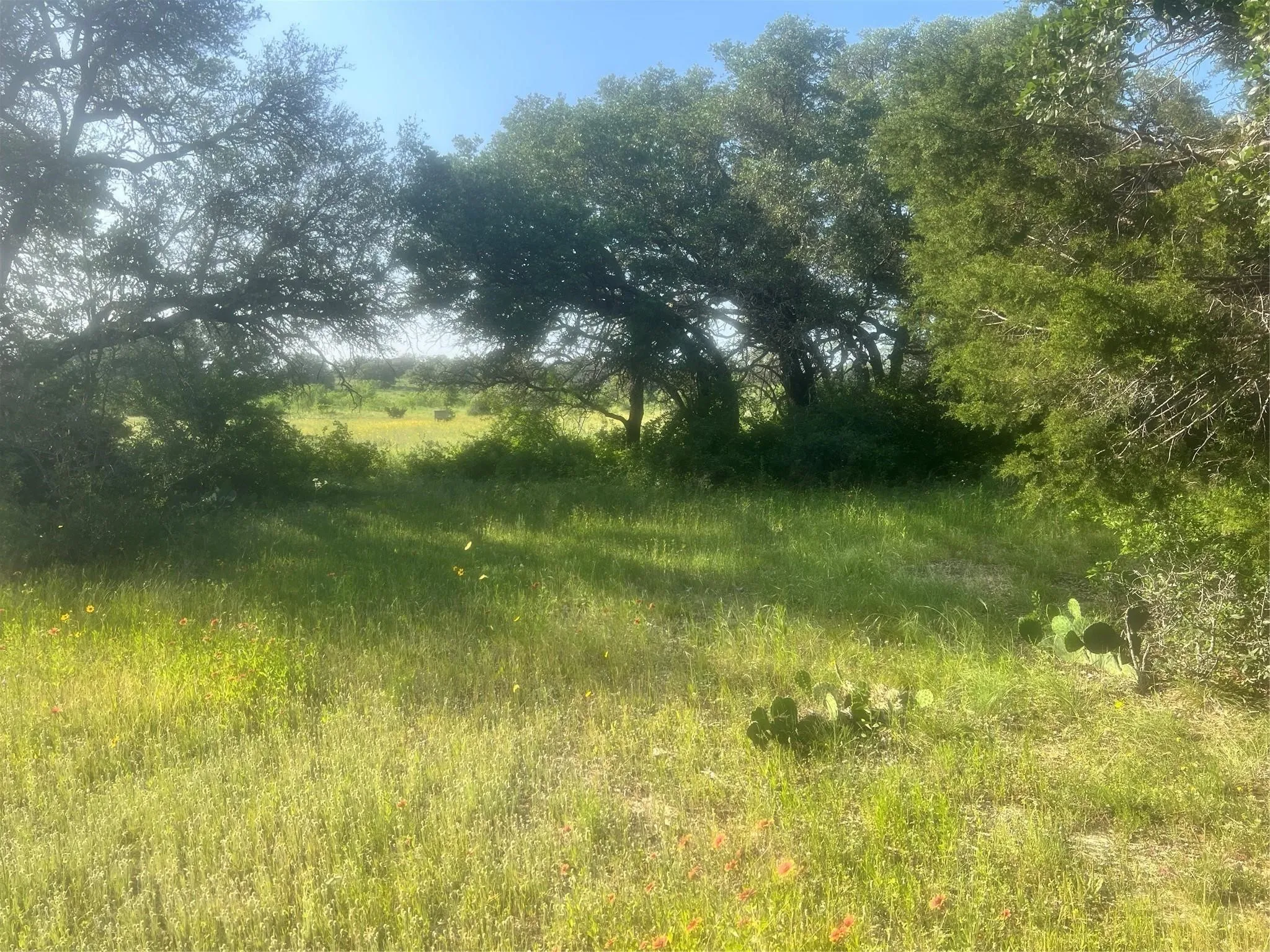 Single Family Residence For Sale in Comanche County , 149 Comanche Hills, Comanche, Texas 76442, 3 Bedrooms, 2 Bathrooms, Garage spaces, 1,800 Sqft, built in 2022, Price $400,000, mls#21153071, Real Estate Agent in Comanche, Homes For Sale in Comanche county, Homes For Sale in Comanche, Realtor in Comanche Texas, Real Estate Brokerage Independent Realty Texas, Luminita Cordes Realtor