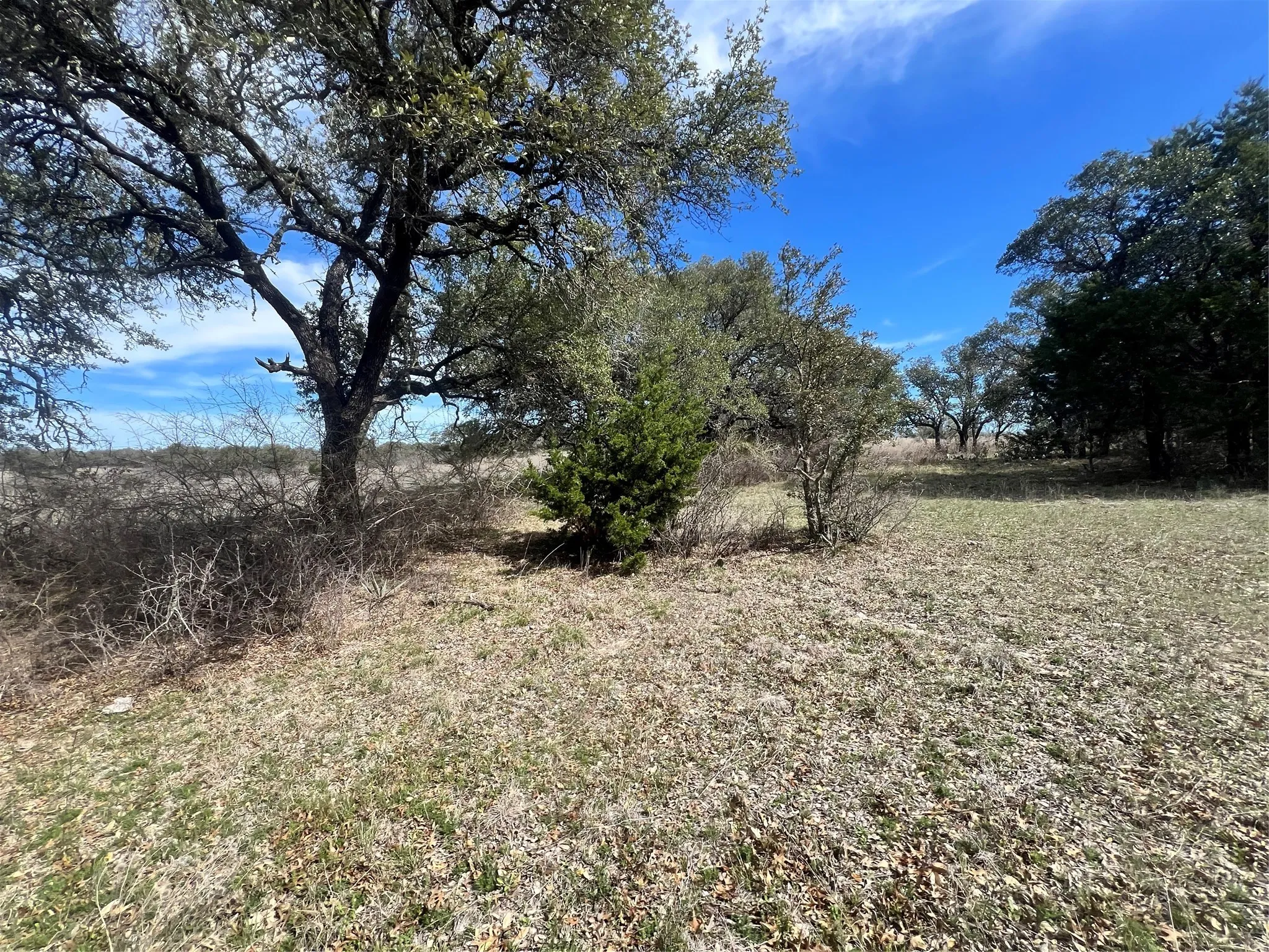 Single Family Residence For Sale in Comanche County , 149 Comanche Hills, Comanche, Texas 76442, 3 Bedrooms, 2 Bathrooms, Garage spaces, 1,800 Sqft, built in 2022, Price $400,000, mls#21153071, Real Estate Agent in Comanche, Homes For Sale in Comanche county, Homes For Sale in Comanche, Realtor in Comanche Texas, Real Estate Brokerage Independent Realty Texas, Luminita Cordes Realtor