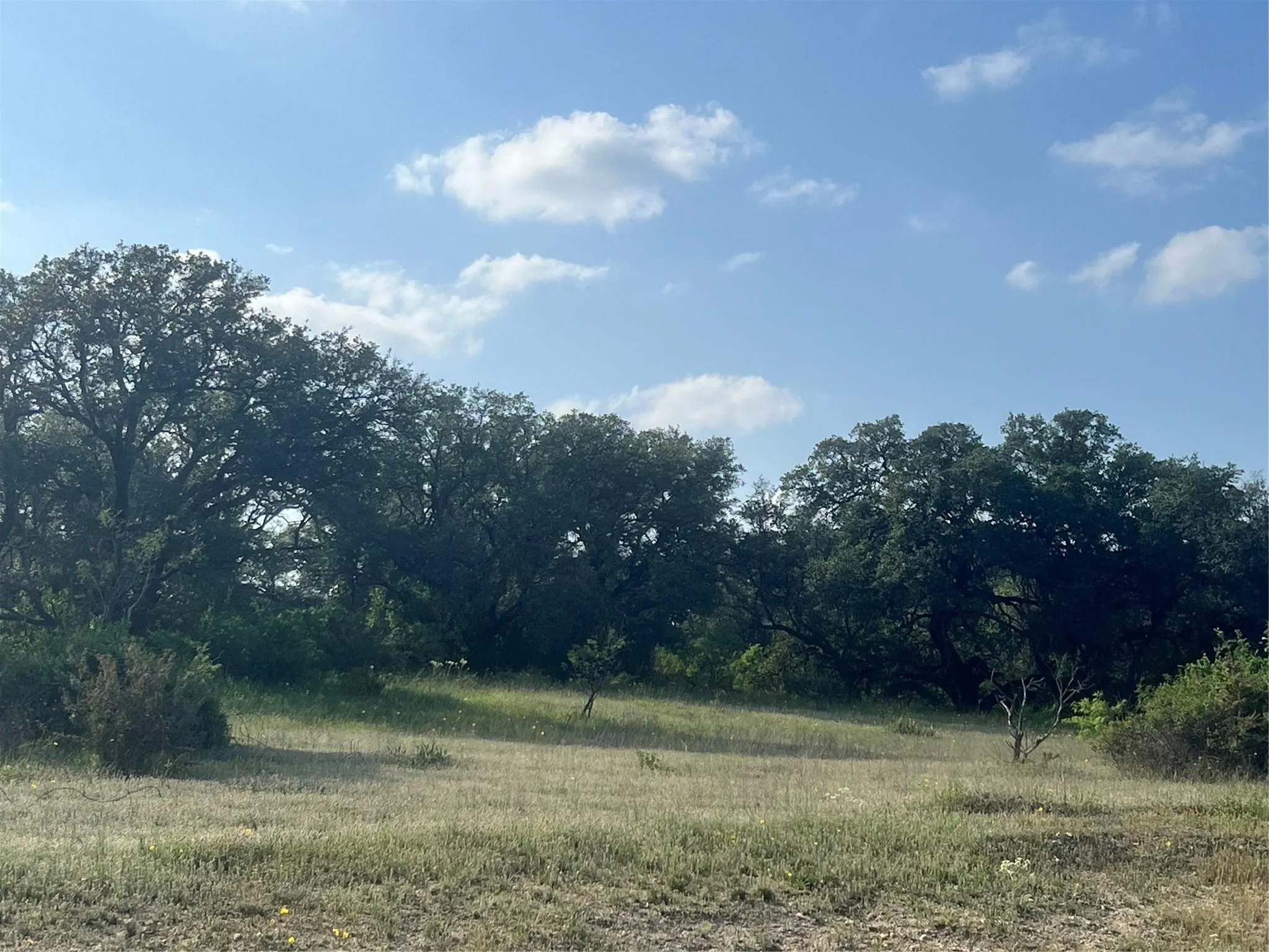 Single Family Residence For Sale in Comanche County , 149 Comanche Hills, Comanche, Texas 76442, 3 Bedrooms, 2 Bathrooms, Garage spaces, 1,800 Sqft, built in 2022, Price $400,000, mls#21153071, Real Estate Agent in Comanche, Homes For Sale in Comanche county, Homes For Sale in Comanche, Realtor in Comanche Texas, Real Estate Brokerage Independent Realty Texas, Luminita Cordes Realtor
