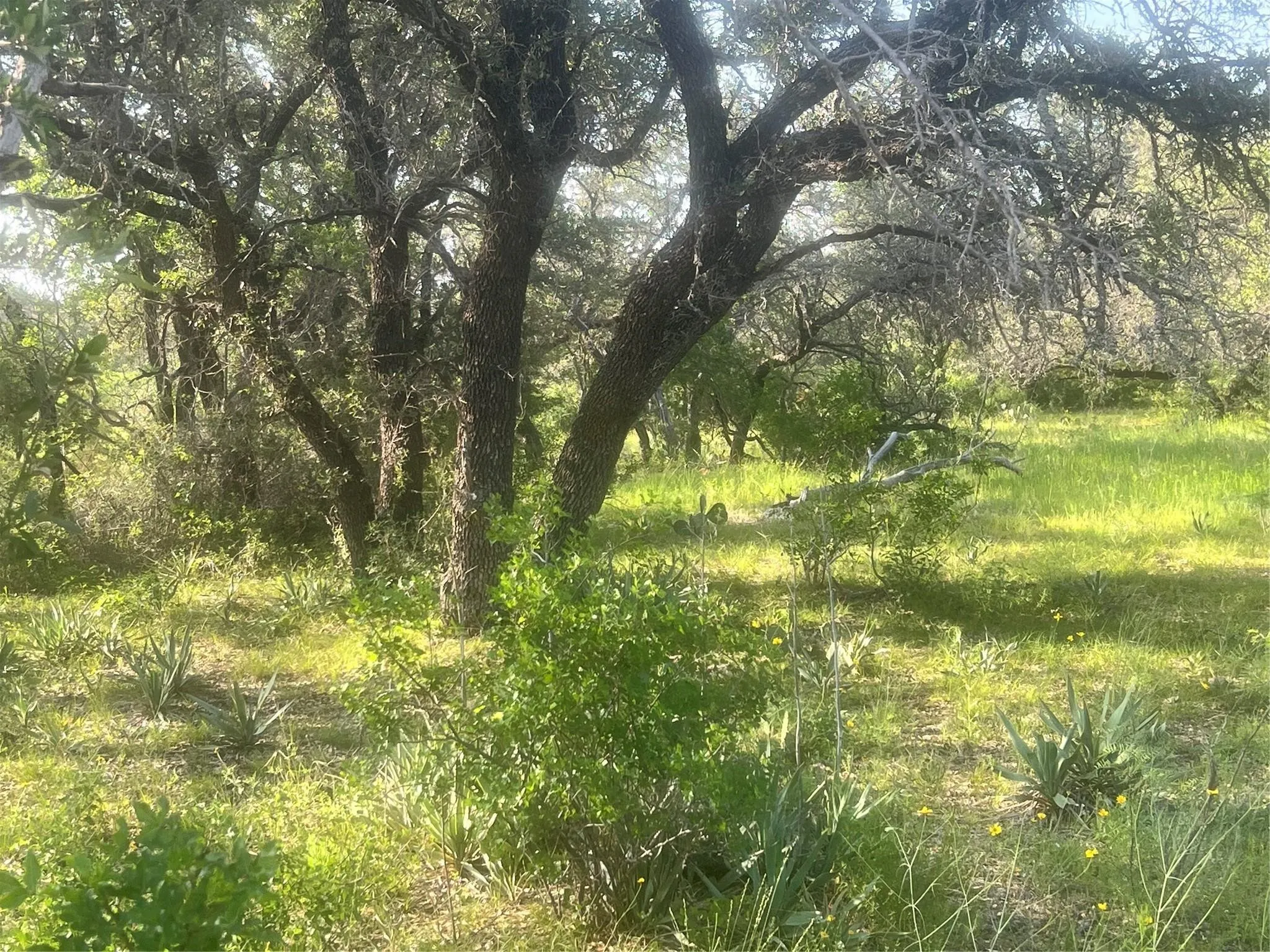 Single Family Residence For Sale in Comanche County , 149 Comanche Hills, Comanche, Texas 76442, 3 Bedrooms, 2 Bathrooms, Garage spaces, 1,800 Sqft, built in 2022, Price $400,000, mls#21153071, Real Estate Agent in Comanche, Homes For Sale in Comanche county, Homes For Sale in Comanche, Realtor in Comanche Texas, Real Estate Brokerage Independent Realty Texas, Luminita Cordes Realtor