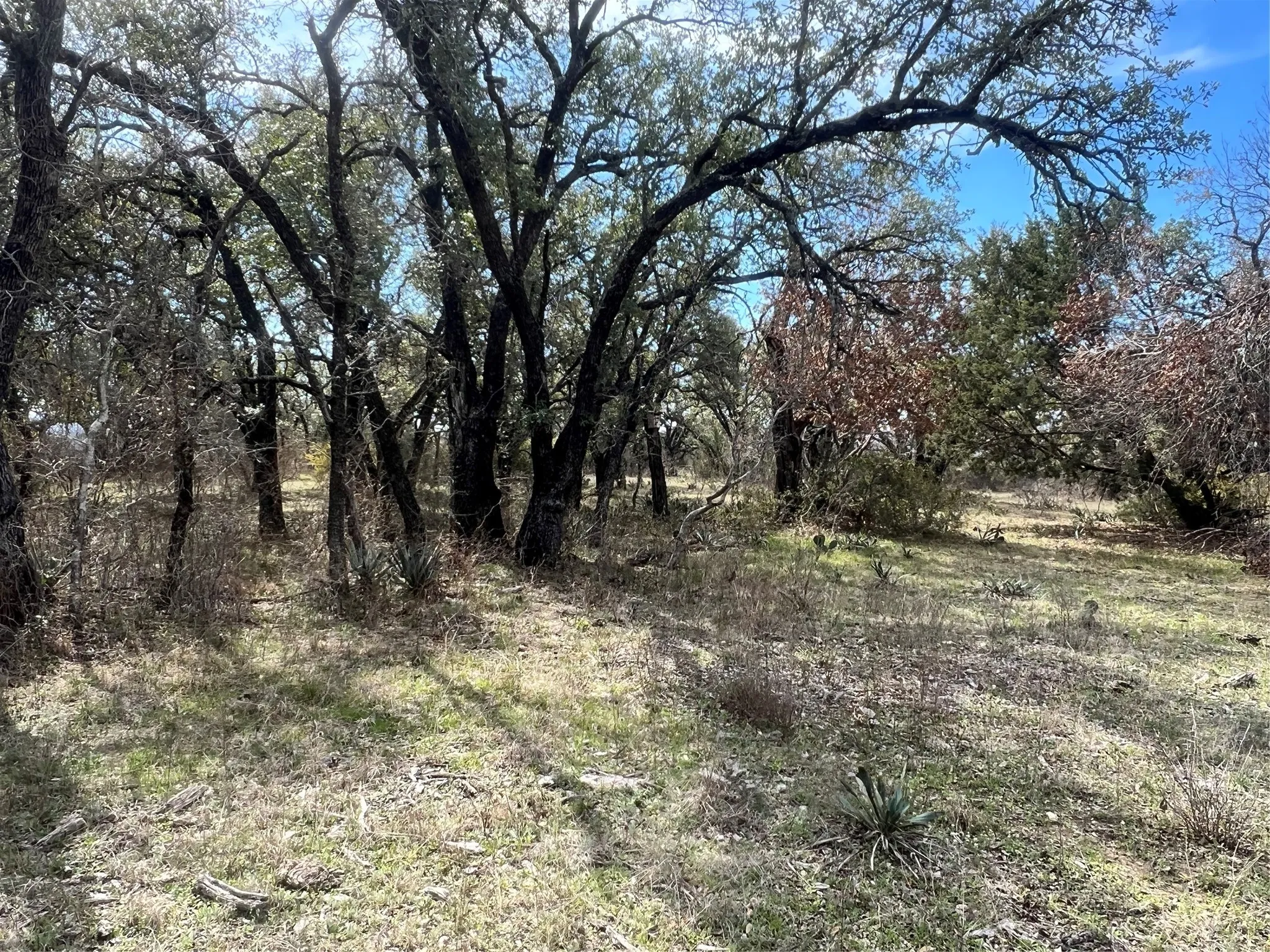 Single Family Residence For Sale in Comanche County , 149 Comanche Hills, Comanche, Texas 76442, 3 Bedrooms, 2 Bathrooms, Garage spaces, 1,800 Sqft, built in 2022, Price $400,000, mls#21153071, Real Estate Agent in Comanche, Homes For Sale in Comanche county, Homes For Sale in Comanche, Realtor in Comanche Texas, Real Estate Brokerage Independent Realty Texas, Luminita Cordes Realtor