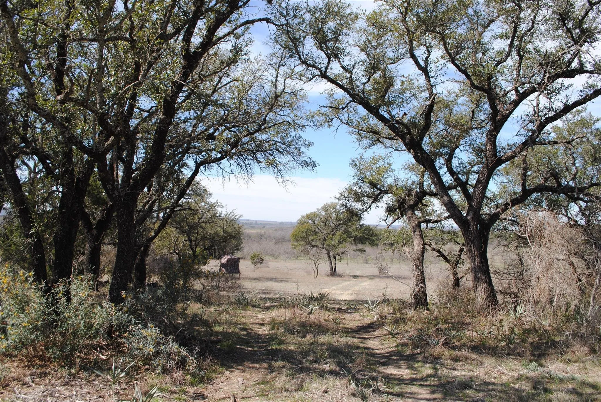 Single Family Residence For Sale in Comanche County , 149 Comanche Hills, Comanche, Texas 76442, 3 Bedrooms, 2 Bathrooms, Garage spaces, 1,800 Sqft, built in 2022, Price $400,000, mls#21153071, Real Estate Agent in Comanche, Homes For Sale in Comanche county, Homes For Sale in Comanche, Realtor in Comanche Texas, Real Estate Brokerage Independent Realty Texas, Luminita Cordes Realtor