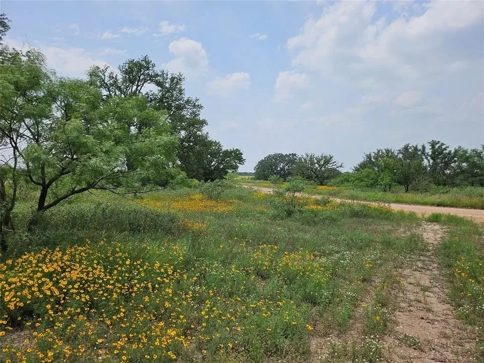 View of nature featuring rural landscape