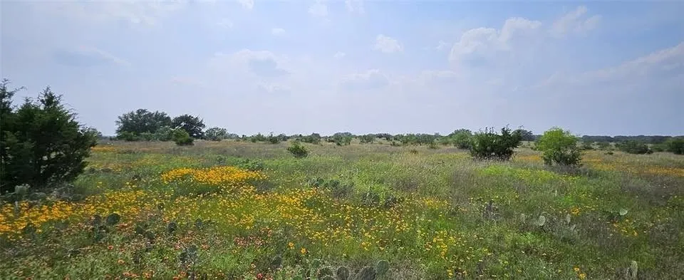 View of undeveloped land featuring rural landscape