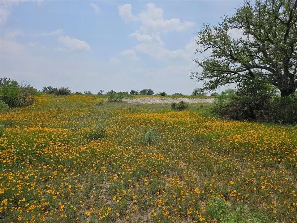 View of undeveloped land featuring rural landscape