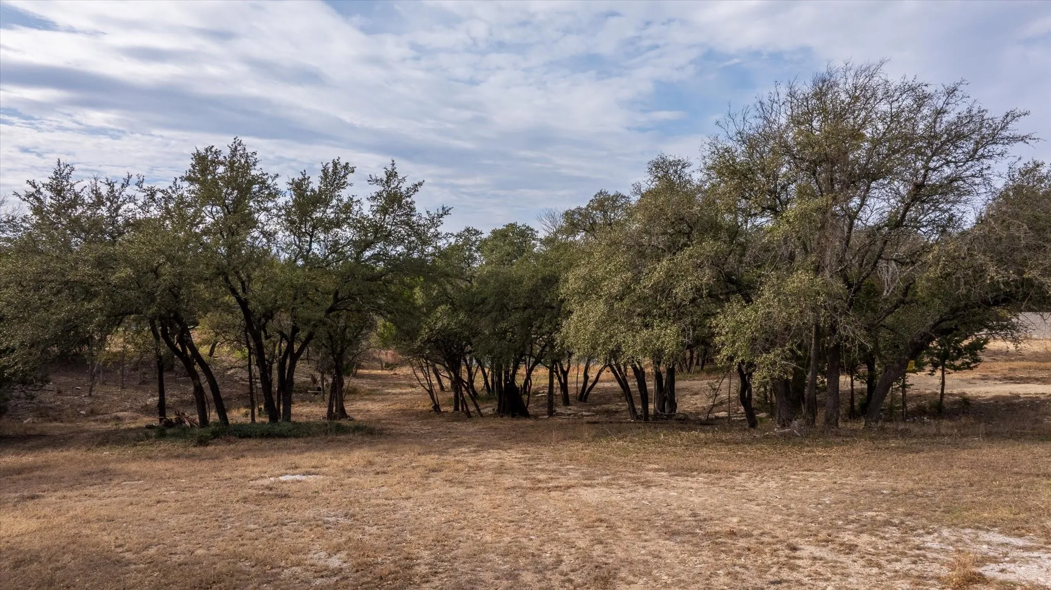 Unimproved Land For Sale in Hood County , 5015 Elms Court, Granbury, Texas 76049, 0, 0, Garage spaces, 0 Sqft, built in 0, Price $249,900, mls#21153281, Real Estate Agent in Granbury, Homes For Sale in Hood county, Homes For Sale in Granbury, Realtor in Granbury Texas, Real Estate Brokerage Independent Realty Texas, Luminita Cordes Realtor
