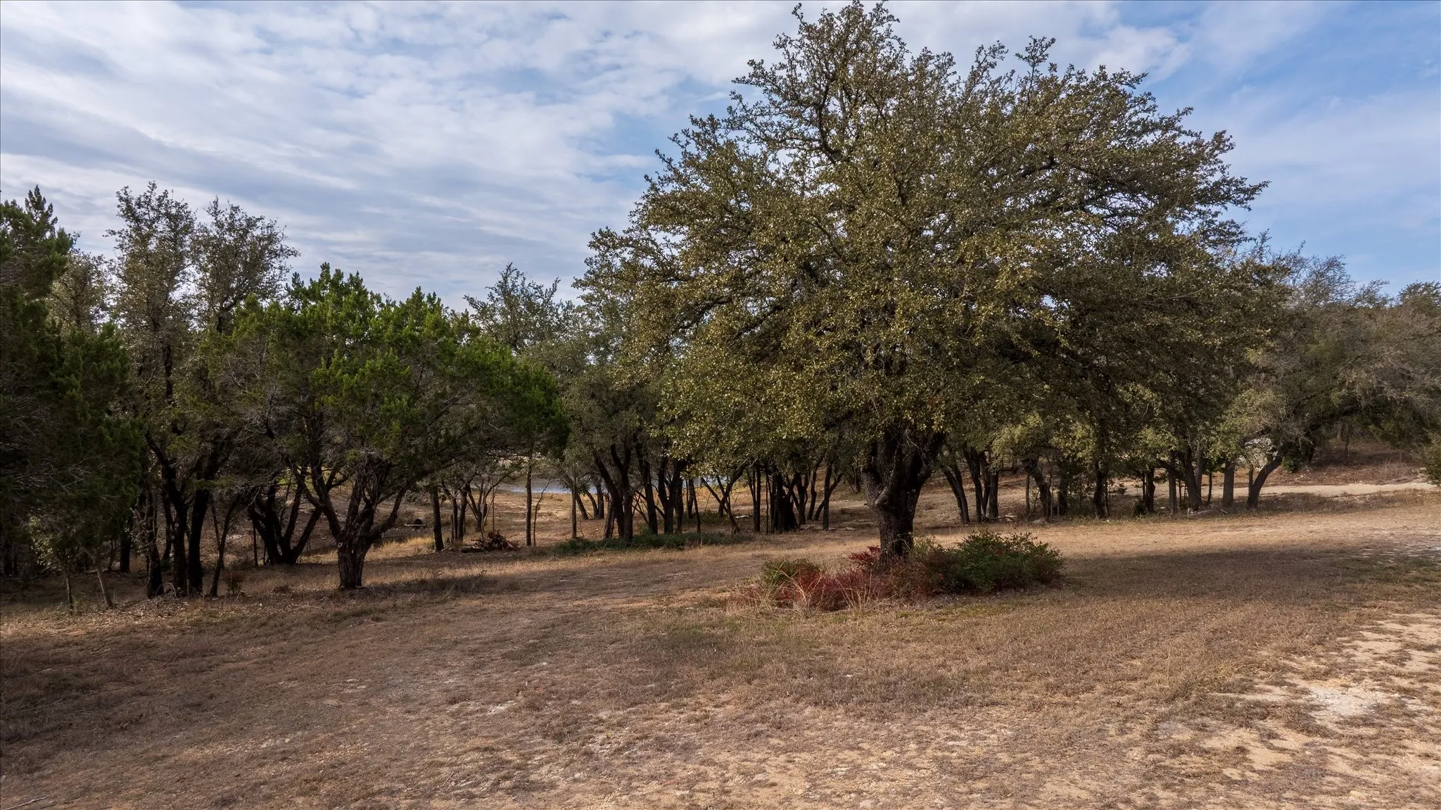 Unimproved Land For Sale in Hood County , 5015 Elms Court, Granbury, Texas 76049, 0, 0, Garage spaces, 0 Sqft, built in 0, Price $249,900, mls#21153281, Real Estate Agent in Granbury, Homes For Sale in Hood county, Homes For Sale in Granbury, Realtor in Granbury Texas, Real Estate Brokerage Independent Realty Texas, Luminita Cordes Realtor
