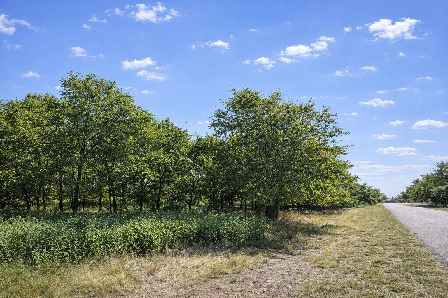 Unimproved Land For Sale in Tarrant County , 8064 Lax Drive, Fort Worth, Texas 76126, 0, 0, Garage spaces, 0 Sqft, built in 0, mls#21152383, Real Estate Agent in Fort Worth, Homes For Sale in Tarrant county, Homes For Sale in Fort Worth, Realtor in Fort Worth Texas, Real Estate Brokerage Independent Realty Texas, Luminita Cordes Realtor