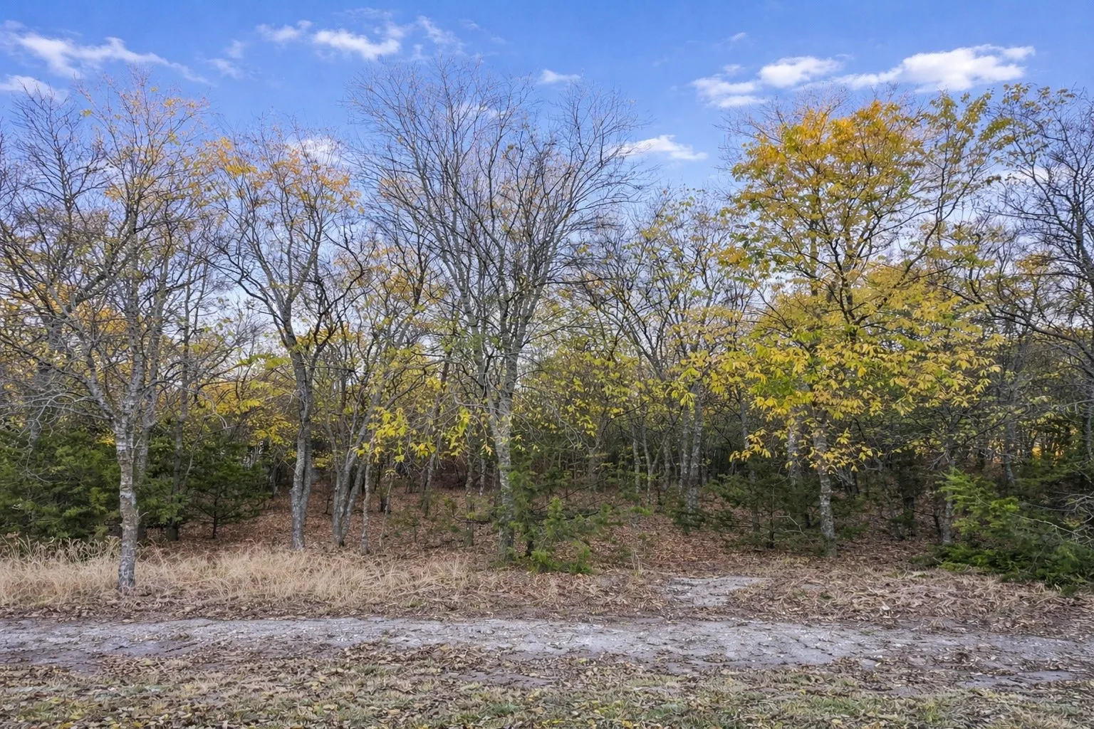 Unimproved Land For Sale in Tarrant County , 8064 Lax Drive, Fort Worth, Texas 76126, 0, 0, Garage spaces, 0 Sqft, built in 0, mls#21152383, Real Estate Agent in Fort Worth, Homes For Sale in Tarrant county, Homes For Sale in Fort Worth, Realtor in Fort Worth Texas, Real Estate Brokerage Independent Realty Texas, Luminita Cordes Realtor