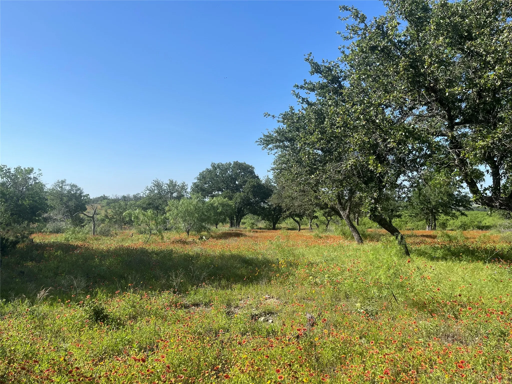 Ranch For Sale in Mills County , 24 County Road 510, Goldthwaite, Texas 76844, 0, 0, Garage spaces, 0 Sqft, built in 0, Price $180,000, mls#21153614, Real Estate Agent in Goldthwaite, Homes For Sale in Mills county, Homes For Sale in Goldthwaite, Realtor in Goldthwaite Texas, Real Estate Brokerage Independent Realty Texas, Luminita Cordes Realtor