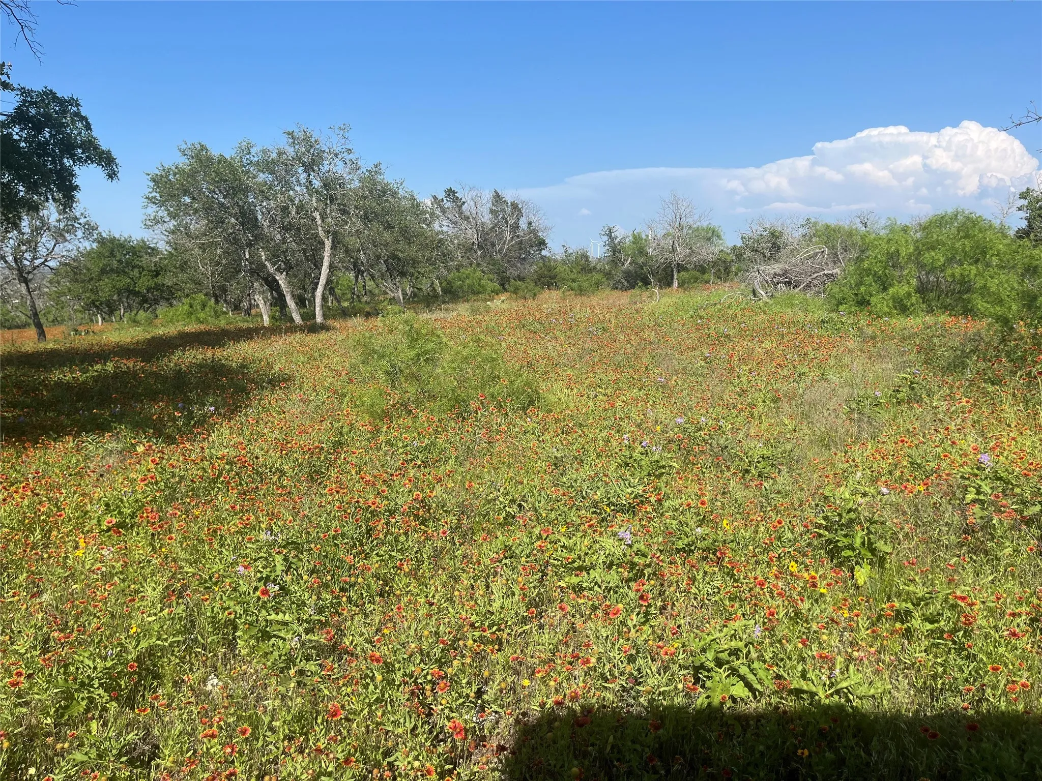 Ranch For Sale in Mills County , 24 County Road 510, Goldthwaite, Texas 76844, 0, 0, Garage spaces, 0 Sqft, built in 0, Price $180,000, mls#21153614, Real Estate Agent in Goldthwaite, Homes For Sale in Mills county, Homes For Sale in Goldthwaite, Realtor in Goldthwaite Texas, Real Estate Brokerage Independent Realty Texas, Luminita Cordes Realtor