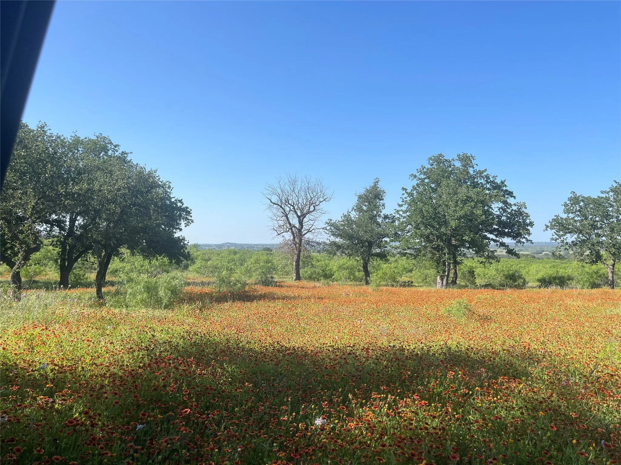 Ranch For Sale in Mills County , 24 County Road 510, Goldthwaite, Texas 76844, 0, 0, Garage spaces, 0 Sqft, built in 0, Price $180,000, mls#21153614, Real Estate Agent in Goldthwaite, Homes For Sale in Mills county, Homes For Sale in Goldthwaite, Realtor in Goldthwaite Texas, Real Estate Brokerage Independent Realty Texas, Luminita Cordes Realtor