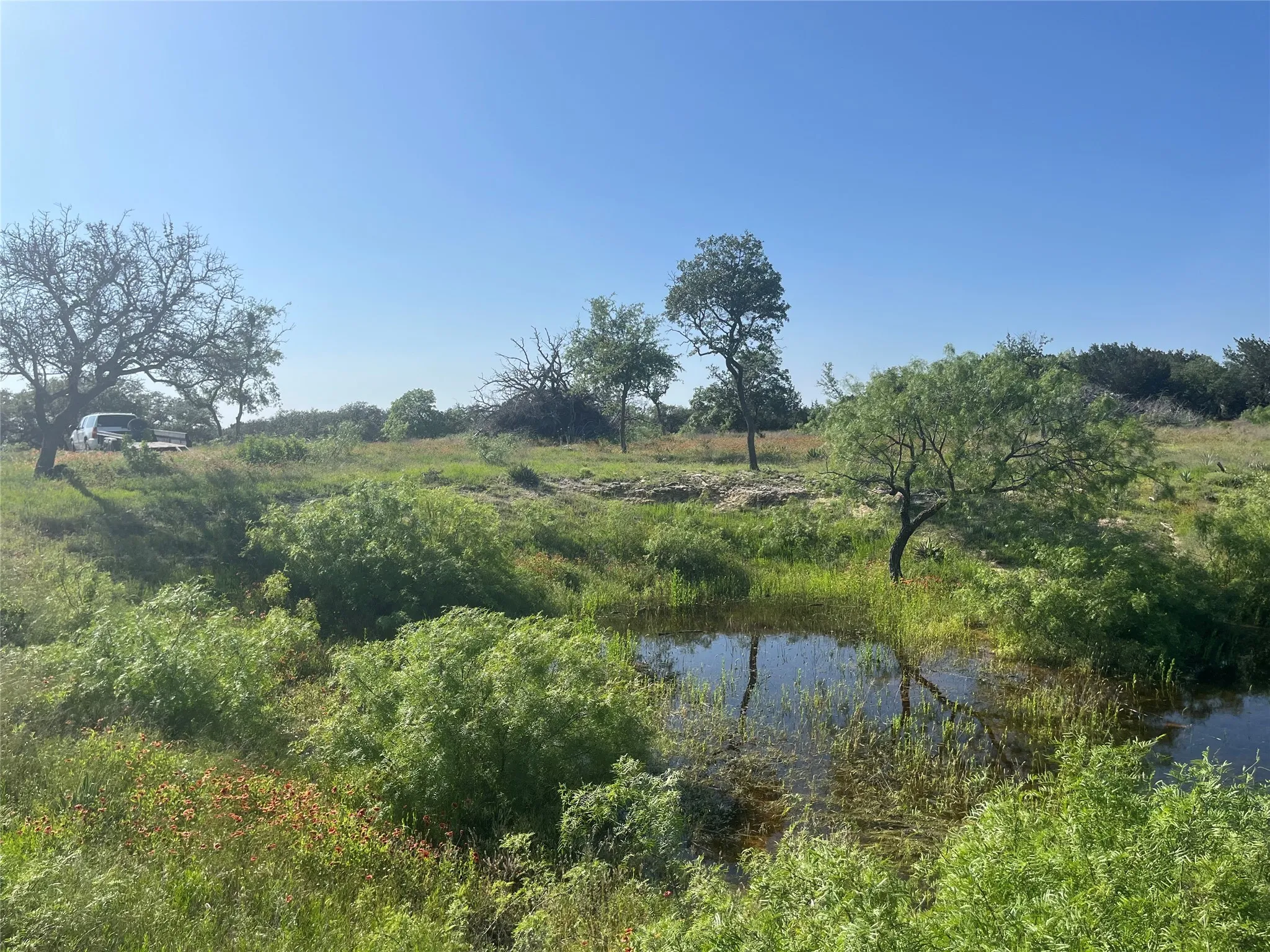 Ranch For Sale in Mills County , 24 County Road 510, Goldthwaite, Texas 76844, 0, 0, Garage spaces, 0 Sqft, built in 0, Price $180,000, mls#21153614, Real Estate Agent in Goldthwaite, Homes For Sale in Mills county, Homes For Sale in Goldthwaite, Realtor in Goldthwaite Texas, Real Estate Brokerage Independent Realty Texas, Luminita Cordes Realtor