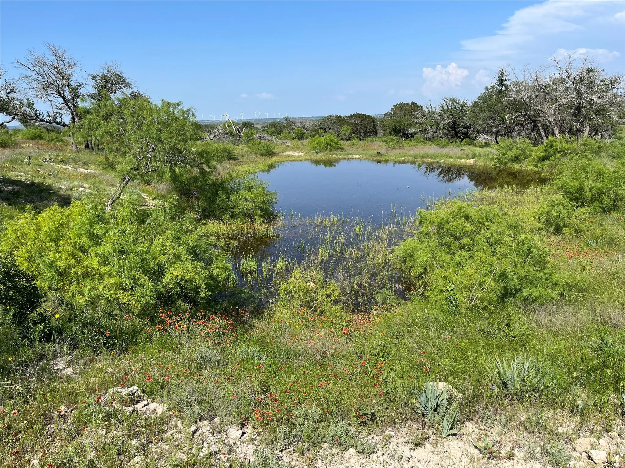 Ranch For Sale in Mills County , 24 County Road 510, Goldthwaite, Texas 76844, 0, 0, Garage spaces, 0 Sqft, built in 0, Price $180,000, mls#21153614, Real Estate Agent in Goldthwaite, Homes For Sale in Mills county, Homes For Sale in Goldthwaite, Realtor in Goldthwaite Texas, Real Estate Brokerage Independent Realty Texas, Luminita Cordes Realtor