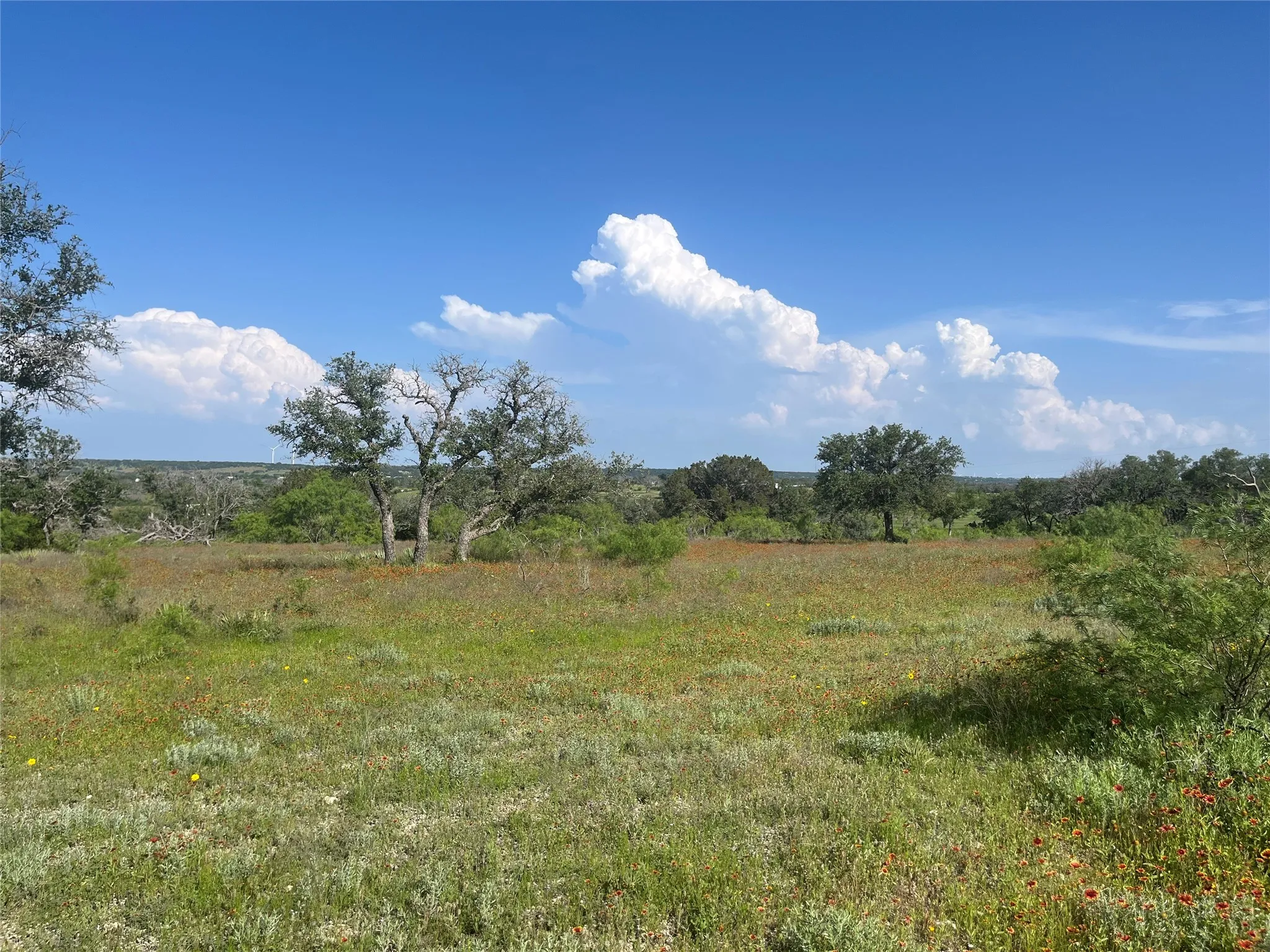 Ranch For Sale in Mills County , 24 County Road 510, Goldthwaite, Texas 76844, 0, 0, Garage spaces, 0 Sqft, built in 0, Price $180,000, mls#21153614, Real Estate Agent in Goldthwaite, Homes For Sale in Mills county, Homes For Sale in Goldthwaite, Realtor in Goldthwaite Texas, Real Estate Brokerage Independent Realty Texas, Luminita Cordes Realtor