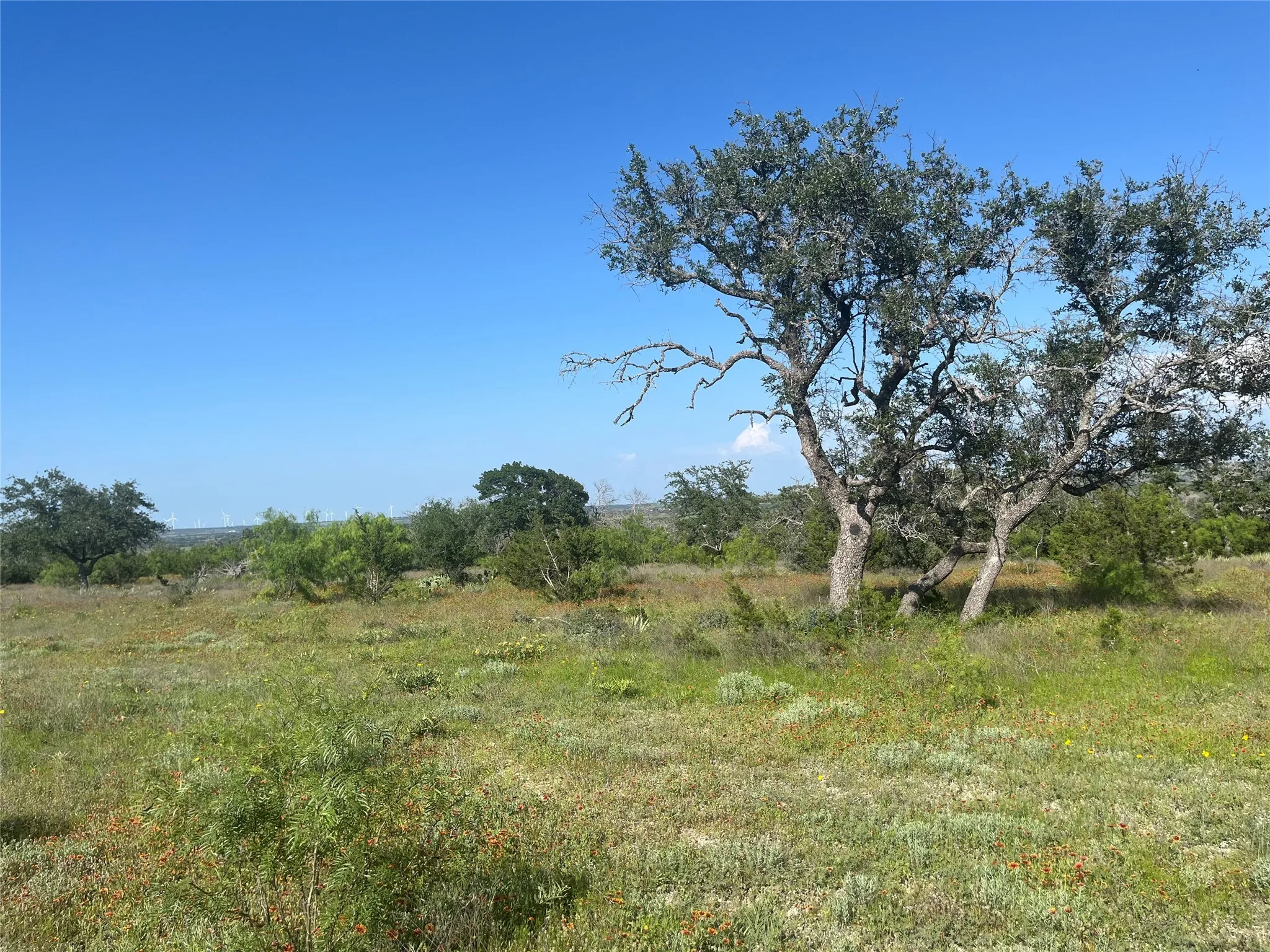 Ranch For Sale in Mills County , 24 County Road 510, Goldthwaite, Texas 76844, 0, 0, Garage spaces, 0 Sqft, built in 0, Price $180,000, mls#21153614, Real Estate Agent in Goldthwaite, Homes For Sale in Mills county, Homes For Sale in Goldthwaite, Realtor in Goldthwaite Texas, Real Estate Brokerage Independent Realty Texas, Luminita Cordes Realtor