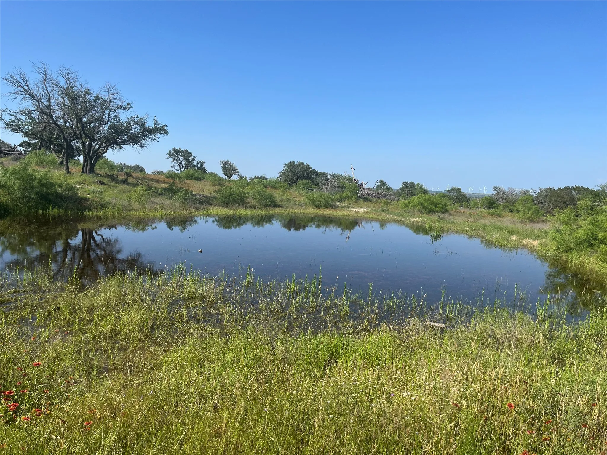 Ranch For Sale in Mills County , 24 County Road 510, Goldthwaite, Texas 76844, 0, 0, Garage spaces, 0 Sqft, built in 0, Price $180,000, mls#21153614, Real Estate Agent in Goldthwaite, Homes For Sale in Mills county, Homes For Sale in Goldthwaite, Realtor in Goldthwaite Texas, Real Estate Brokerage Independent Realty Texas, Luminita Cordes Realtor