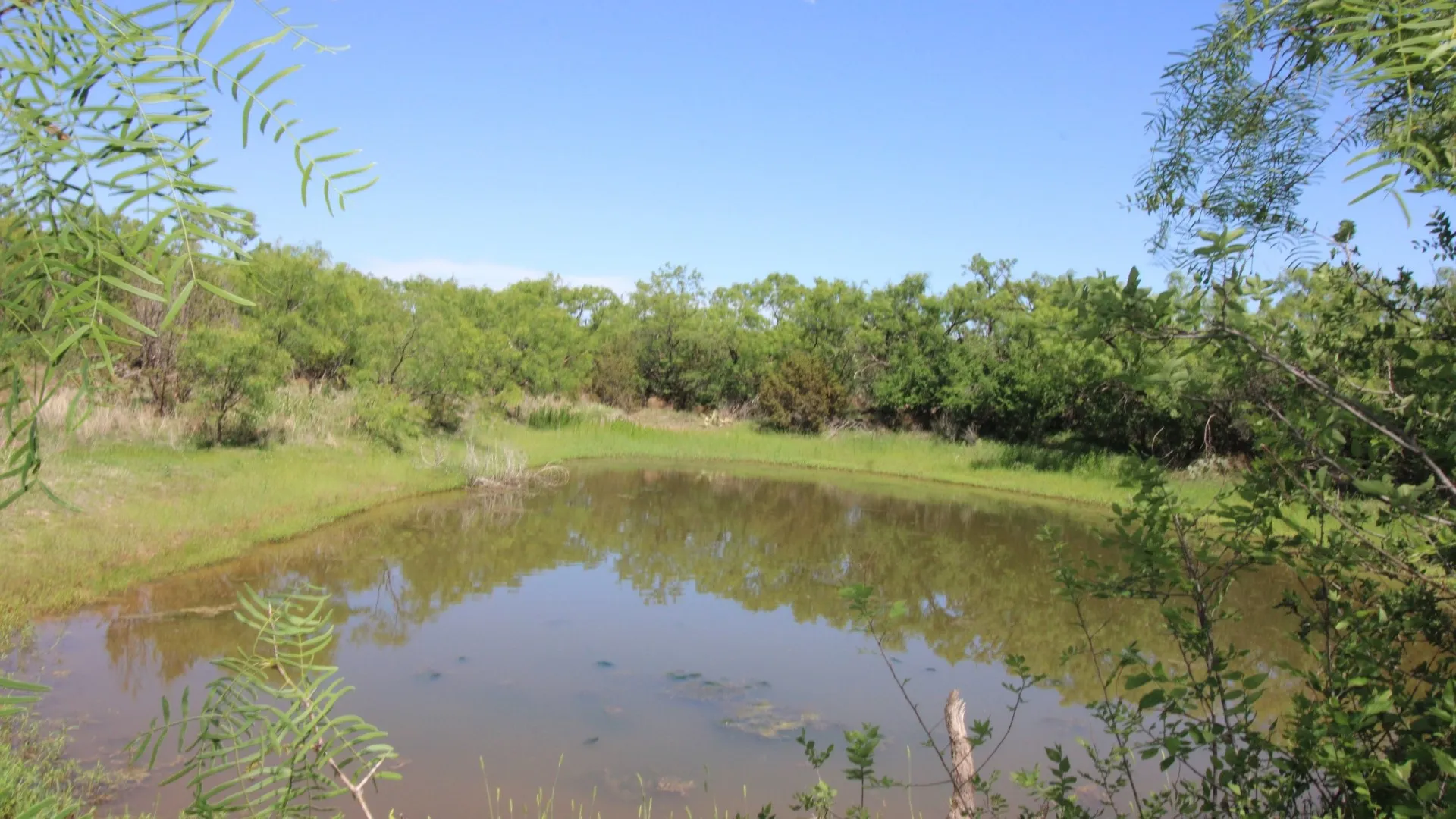 Farm For Sale in Taylor County , 525 County Road 310, Abilene, Texas 79606, 4 Bedroom, 3 Bathroom, Garage spaces, 4,300 Sqft, built in 2009, mls#21152952, Real Estate Agent in Abilene, Homes For Sale in Taylor county, Homes For Sale in Abilene, Realtor in Abilene Texas, Real Estate Brokerage Independent Realty Texas, Luminita Cordes Realtor