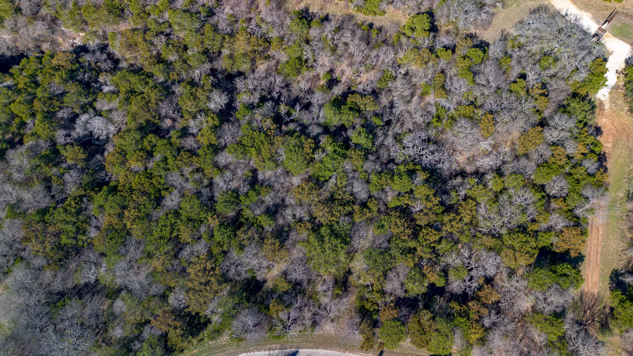 Unimproved Land For Sale in Hill County , 1324 Cobblestone Trail, Whitney, Texas 76692, 0, 0, Garage spaces, 0 Sqft, built in 0, Price $10,600, mls#21153198, Real Estate Agent in Whitney, Homes For Sale in Hill county, Homes For Sale in Whitney, Realtor in Whitney Texas, Real Estate Brokerage Independent Realty Texas, Luminita Cordes Realtor