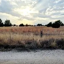 Improved Land For Sale in Navarro County , TBD NW County Road 1140, Corsicana, Texas 75110, 0, 0, Garage spaces, 0 Sqft, built in 0, mls#21153878, Real Estate Agent in Corsicana, Homes For Sale in Navarro county, Homes For Sale in Corsicana, Realtor in Corsicana Texas, Real Estate Brokerage Independent Realty Texas, Luminita Cordes Realtor