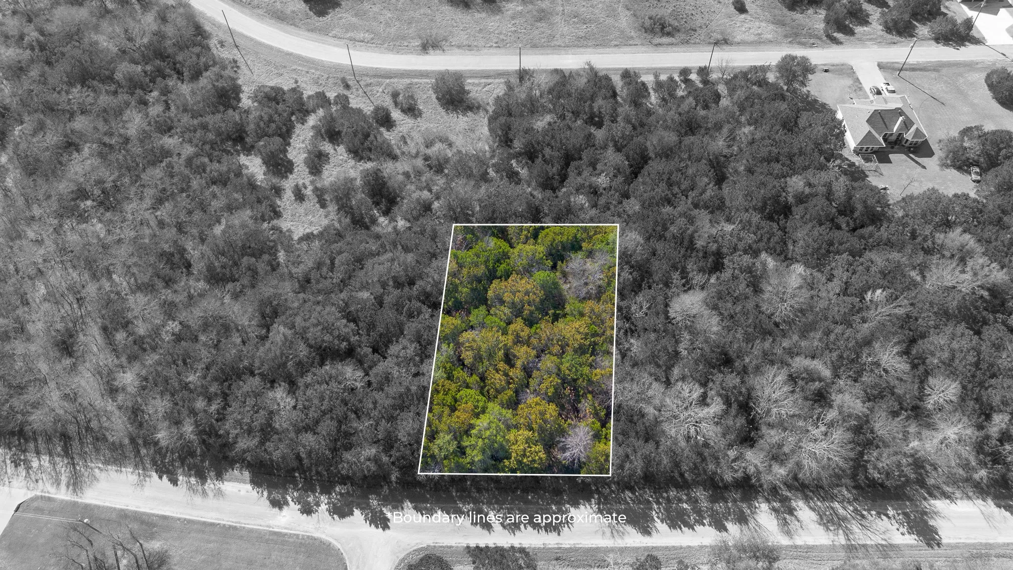 Unimproved Land For Sale in Hill County , 38008 Cedar Trail, Whitney, Texas 76692, 0, 0, Garage spaces, 0 Sqft, built in 0, Price $11,600, mls#21153162, Real Estate Agent in Whitney, Homes For Sale in Hill county, Homes For Sale in Whitney, Realtor in Whitney Texas, Real Estate Brokerage Independent Realty Texas, Luminita Cordes Realtor