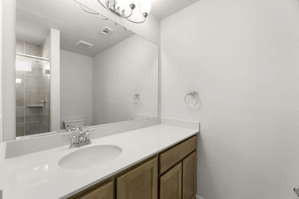 15-451-sweet-spring-lavon-tx-primary-bathroom