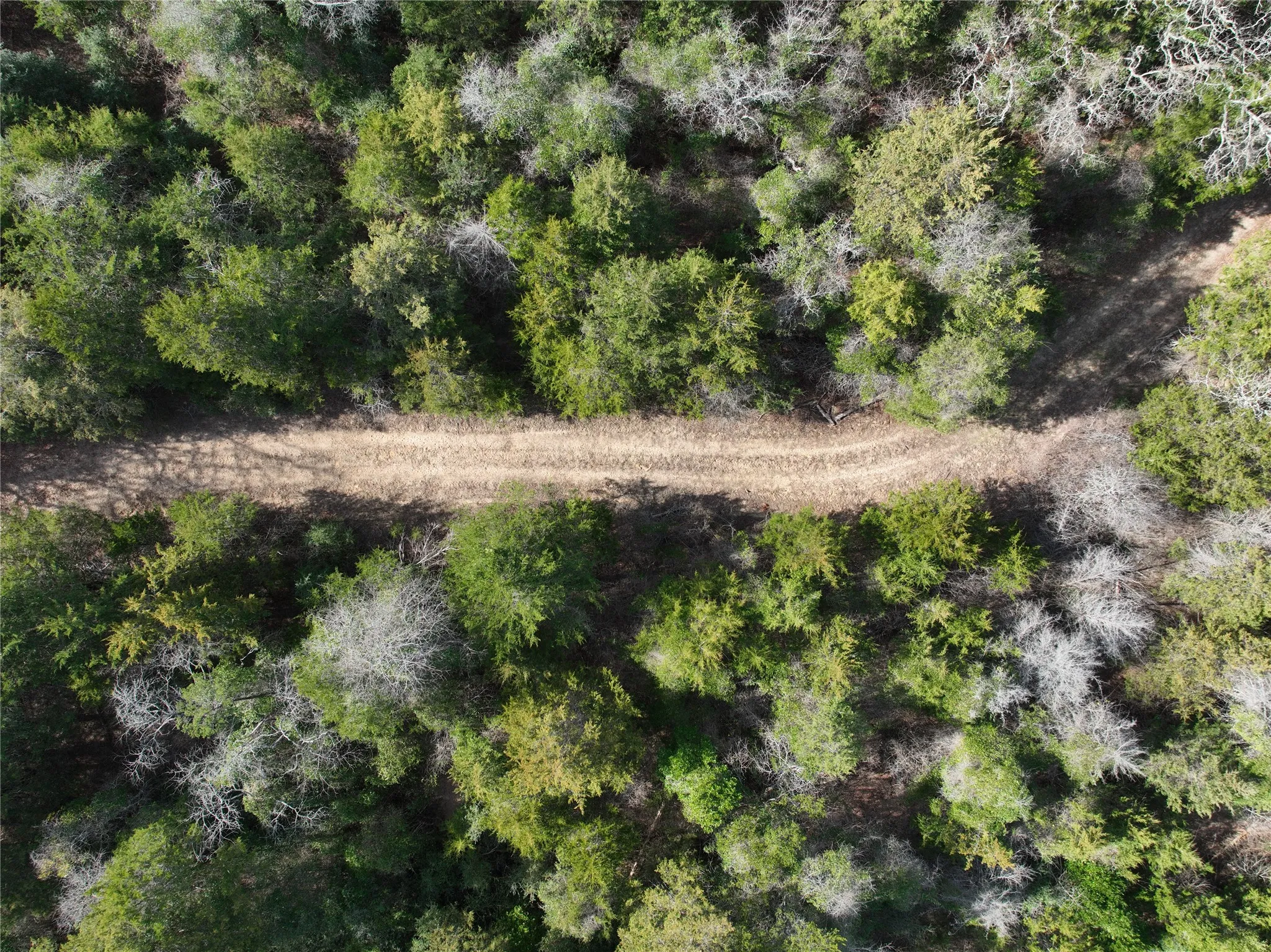 Unimproved Land For Sale in Wood County , TBD State Highway 154, Quitman, Texas 75783, 0, 0, Garage spaces, 0 Sqft, built in 0, Price $1,745,000, mls#21150023, Real Estate Agent in Quitman, Homes For Sale in Wood county, Homes For Sale in Quitman, Realtor in Quitman Texas, Real Estate Brokerage Independent Realty Texas, Luminita Cordes Realtor