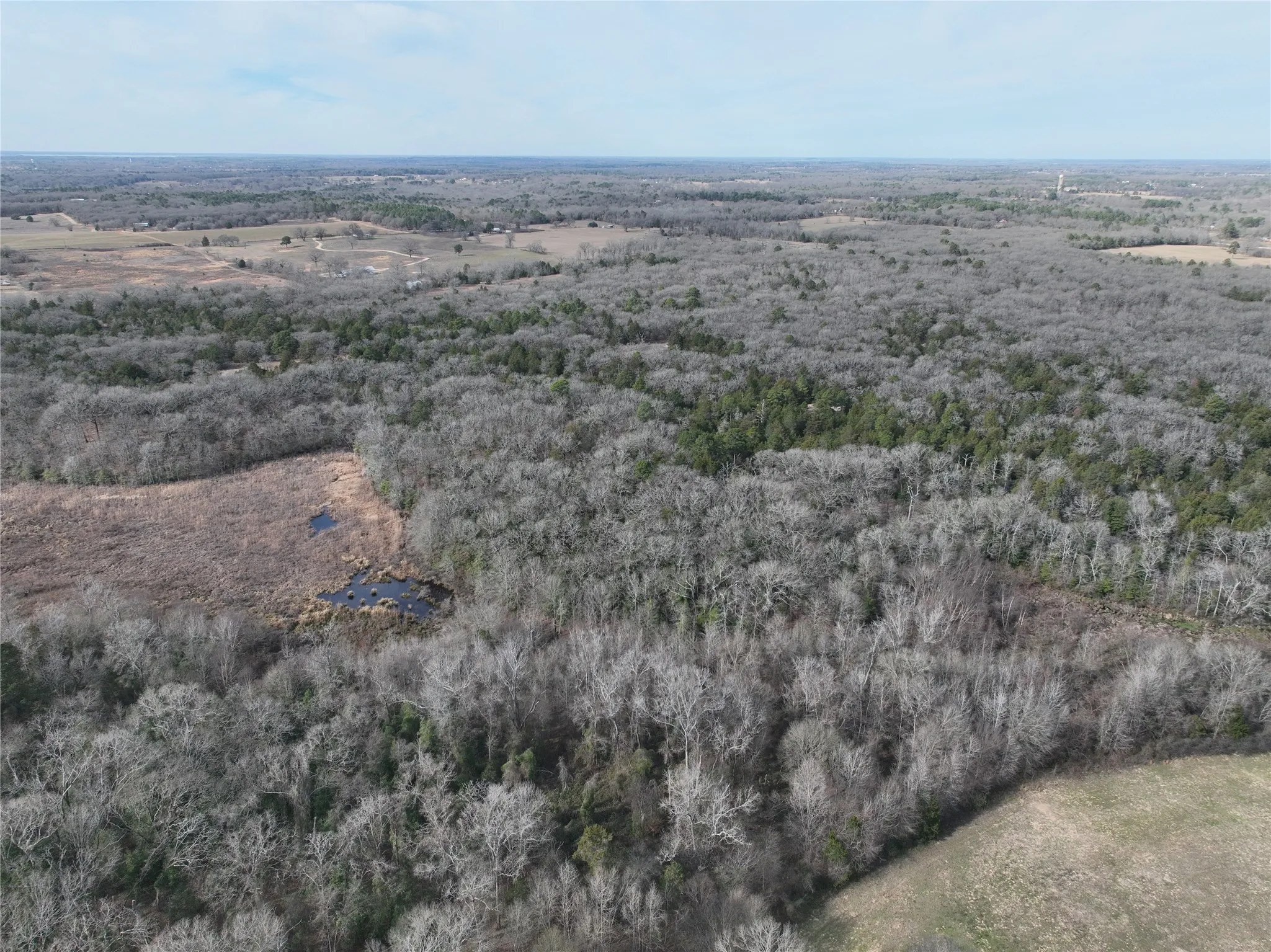 Unimproved Land For Sale in Wood County , TBD State Highway 154, Quitman, Texas 75783, 0, 0, Garage spaces, 0 Sqft, built in 0, Price $1,745,000, mls#21150023, Real Estate Agent in Quitman, Homes For Sale in Wood county, Homes For Sale in Quitman, Realtor in Quitman Texas, Real Estate Brokerage Independent Realty Texas, Luminita Cordes Realtor