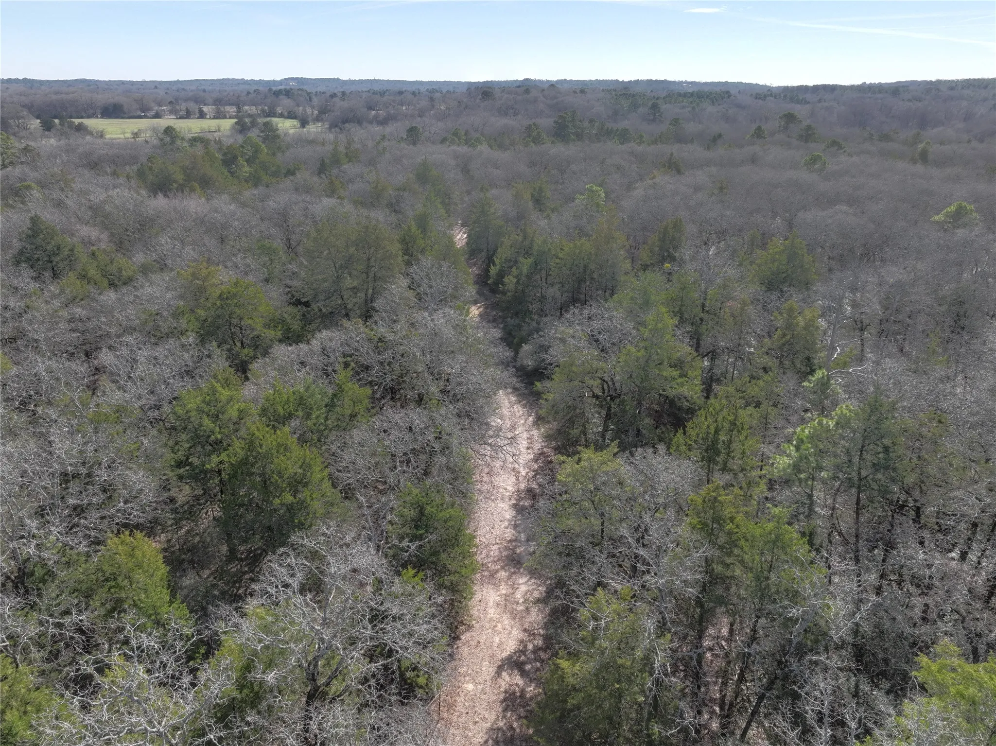 Unimproved Land For Sale in Wood County , TBD State Highway 154, Quitman, Texas 75783, 0, 0, Garage spaces, 0 Sqft, built in 0, Price $1,745,000, mls#21150023, Real Estate Agent in Quitman, Homes For Sale in Wood county, Homes For Sale in Quitman, Realtor in Quitman Texas, Real Estate Brokerage Independent Realty Texas, Luminita Cordes Realtor
