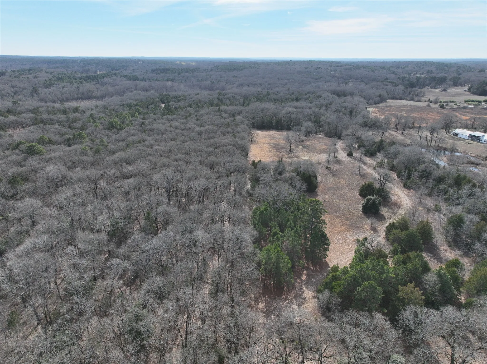 Unimproved Land For Sale in Wood County , TBD State Highway 154, Quitman, Texas 75783, 0, 0, Garage spaces, 0 Sqft, built in 0, Price $1,745,000, mls#21150023, Real Estate Agent in Quitman, Homes For Sale in Wood county, Homes For Sale in Quitman, Realtor in Quitman Texas, Real Estate Brokerage Independent Realty Texas, Luminita Cordes Realtor