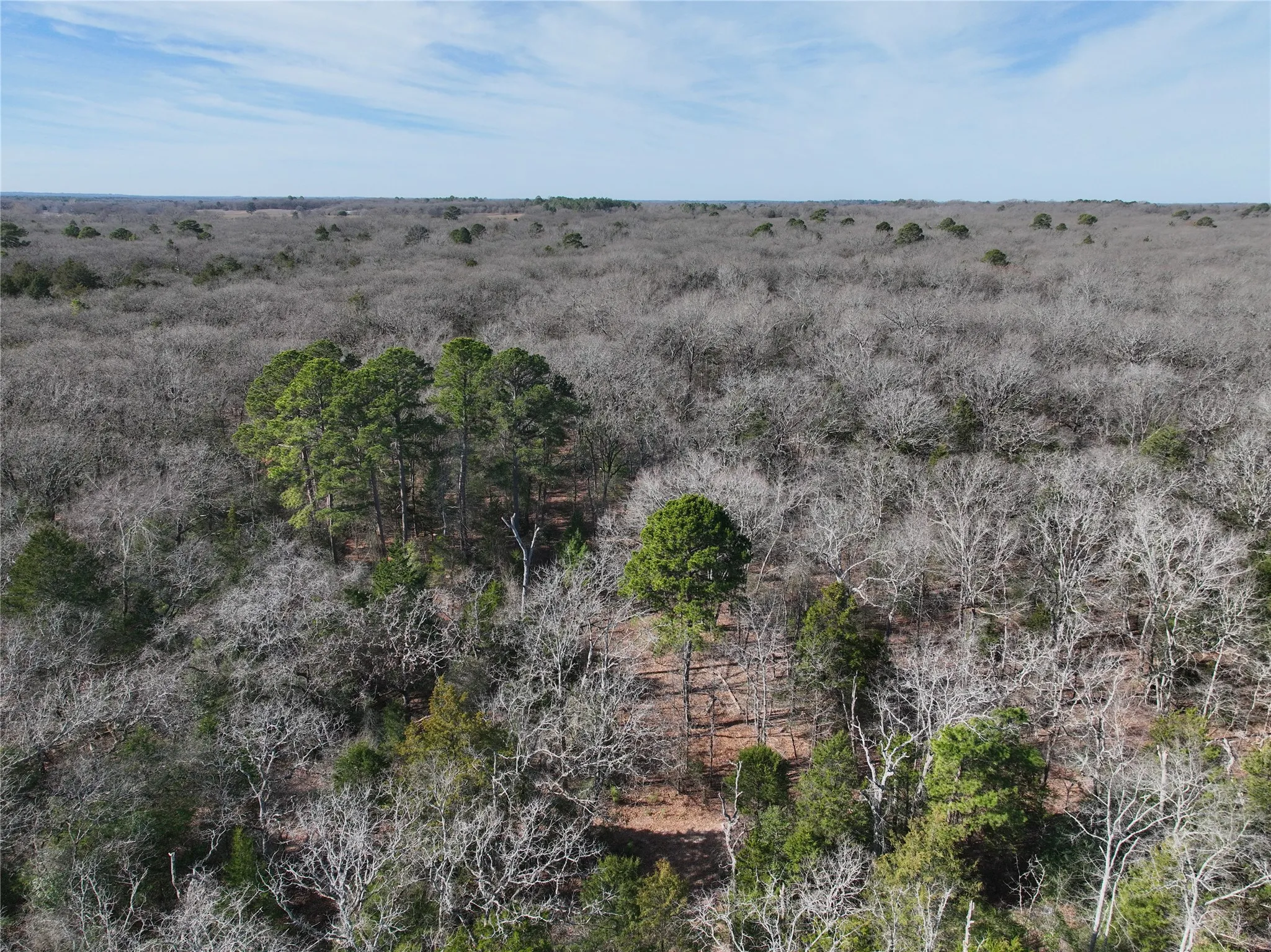 Unimproved Land For Sale in Wood County , TBD State Highway 154, Quitman, Texas 75783, 0, 0, Garage spaces, 0 Sqft, built in 0, Price $1,745,000, mls#21150023, Real Estate Agent in Quitman, Homes For Sale in Wood county, Homes For Sale in Quitman, Realtor in Quitman Texas, Real Estate Brokerage Independent Realty Texas, Luminita Cordes Realtor