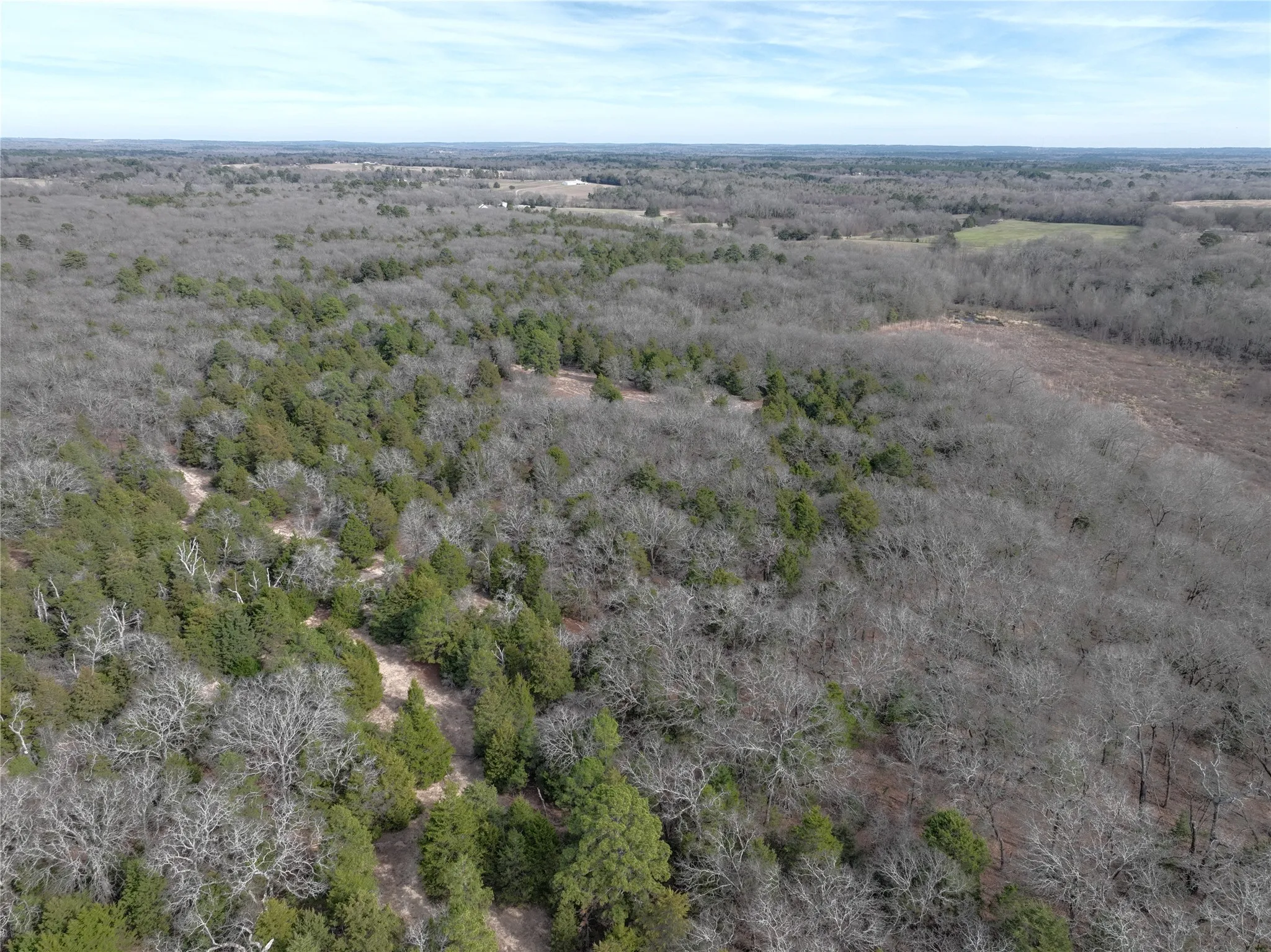 Unimproved Land For Sale in Wood County , TBD State Highway 154, Quitman, Texas 75783, 0, 0, Garage spaces, 0 Sqft, built in 0, Price $1,745,000, mls#21150023, Real Estate Agent in Quitman, Homes For Sale in Wood county, Homes For Sale in Quitman, Realtor in Quitman Texas, Real Estate Brokerage Independent Realty Texas, Luminita Cordes Realtor