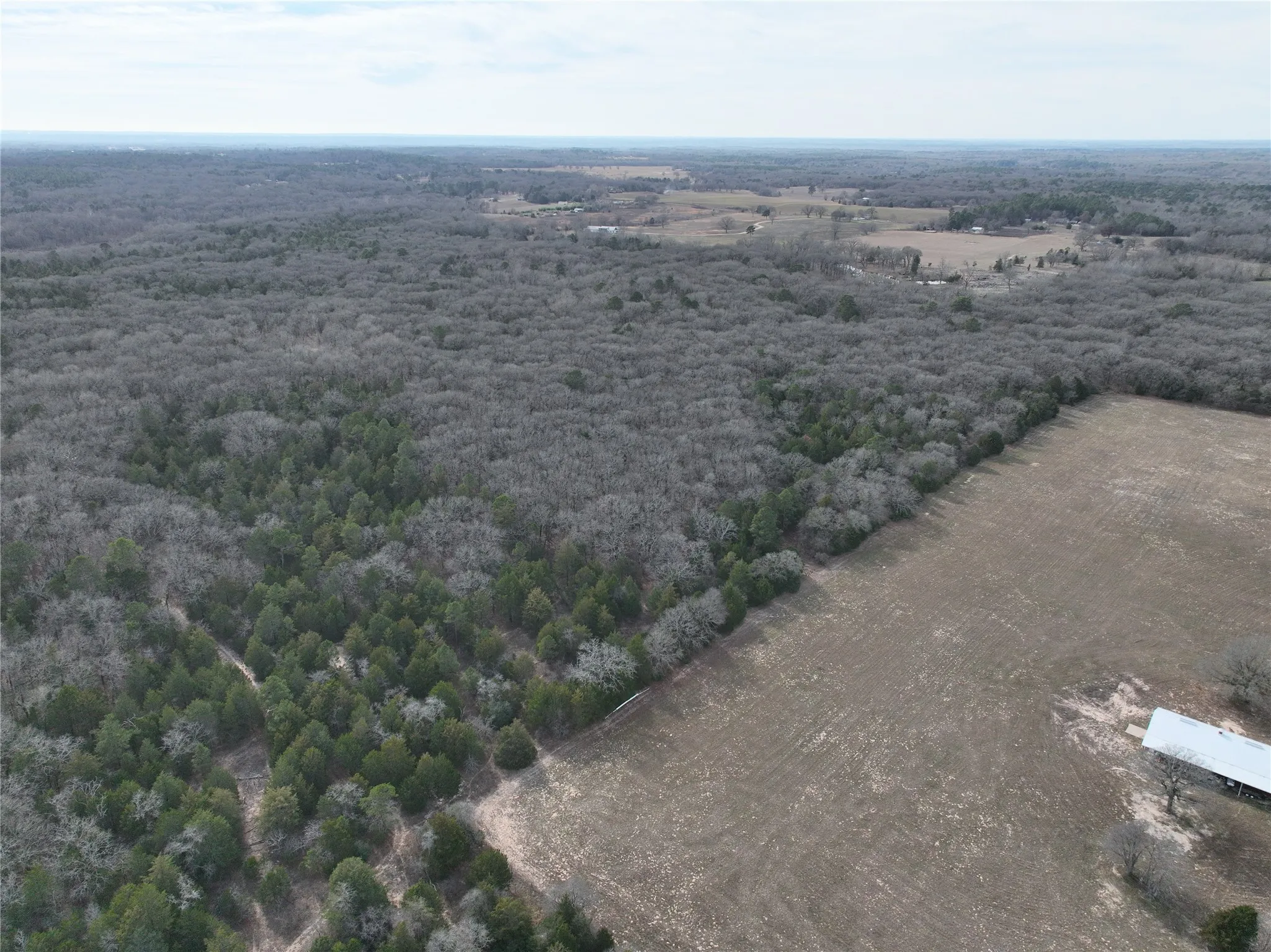 Unimproved Land For Sale in Wood County , TBD State Highway 154, Quitman, Texas 75783, 0, 0, Garage spaces, 0 Sqft, built in 0, Price $1,745,000, mls#21150023, Real Estate Agent in Quitman, Homes For Sale in Wood county, Homes For Sale in Quitman, Realtor in Quitman Texas, Real Estate Brokerage Independent Realty Texas, Luminita Cordes Realtor