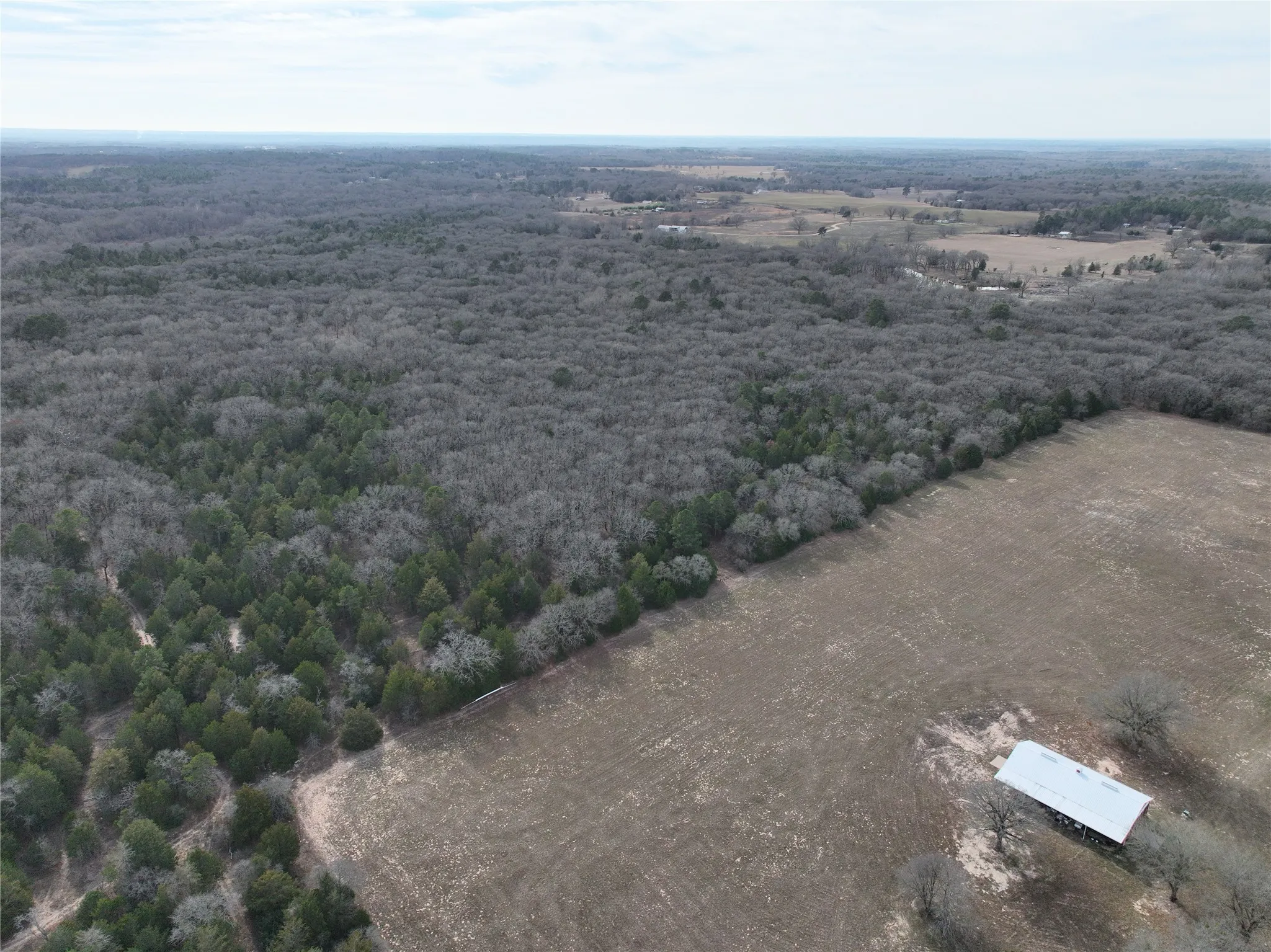 Unimproved Land For Sale in Wood County , TBD State Highway 154, Quitman, Texas 75783, 0, 0, Garage spaces, 0 Sqft, built in 0, Price $1,745,000, mls#21150023, Real Estate Agent in Quitman, Homes For Sale in Wood county, Homes For Sale in Quitman, Realtor in Quitman Texas, Real Estate Brokerage Independent Realty Texas, Luminita Cordes Realtor