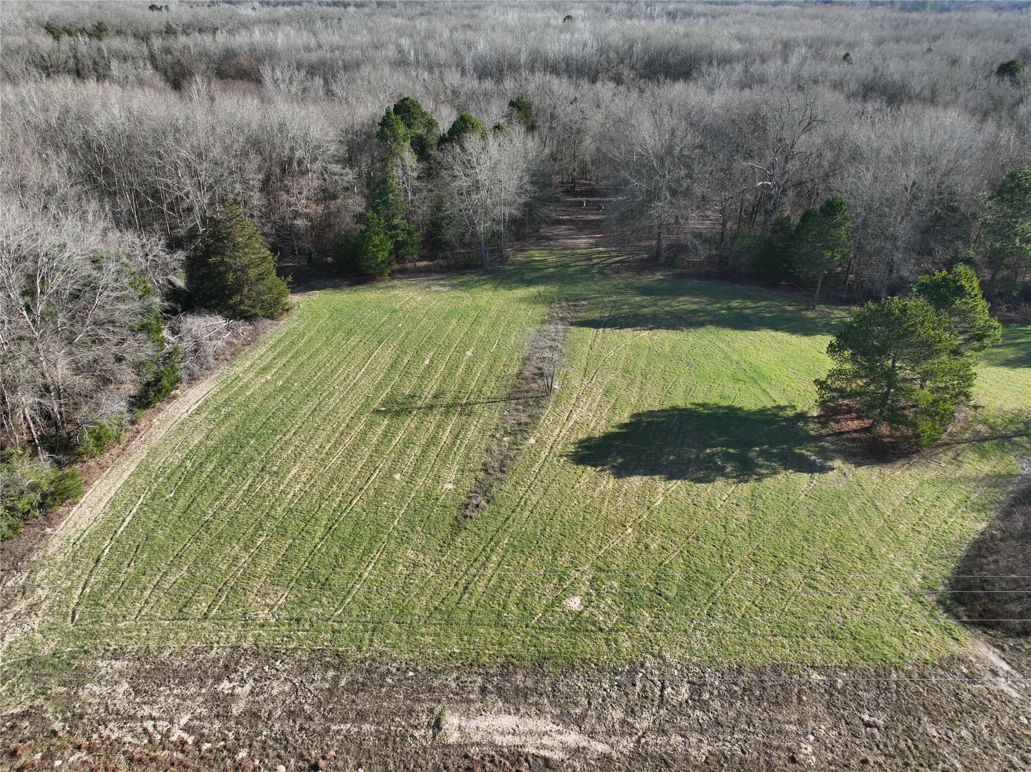 Unimproved Land For Sale in Wood County , TBD County Road 3170, Quitman, Texas 75783, 0, 0, Garage spaces, 0 Sqft, built in 0, Price $725,000, mls#21149889, Real Estate Agent in Quitman, Homes For Sale in Wood county, Homes For Sale in Quitman, Realtor in Quitman Texas, Real Estate Brokerage Independent Realty Texas, Luminita Cordes Realtor