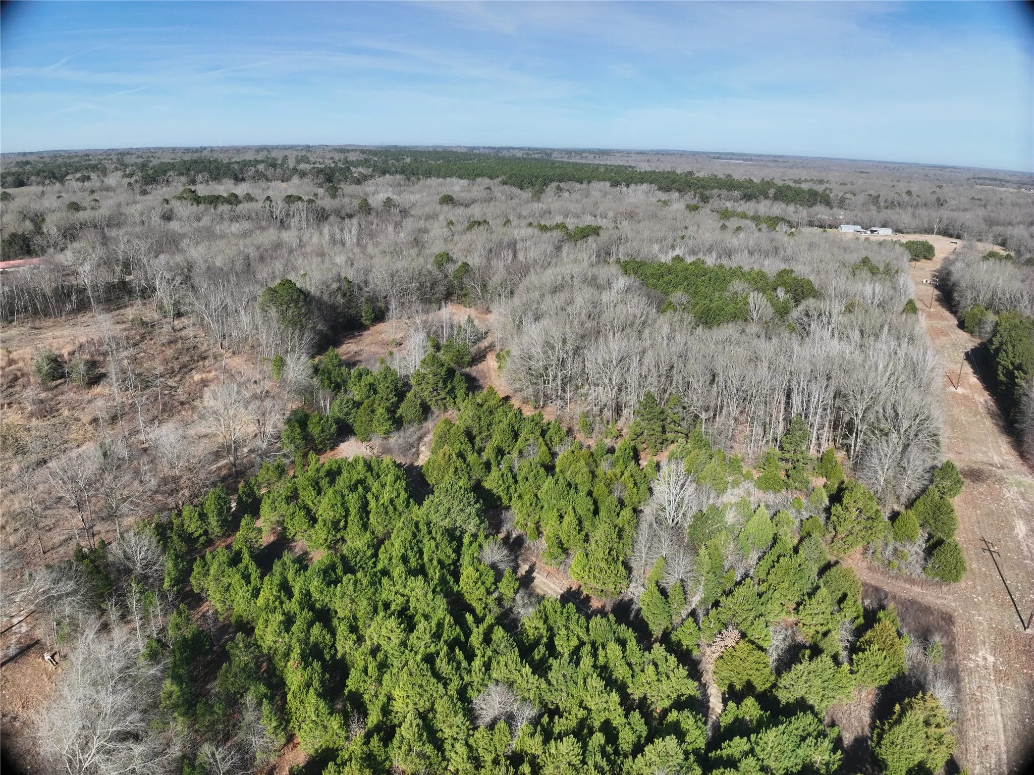 Unimproved Land For Sale in Wood County , TBD County Road 3170, Quitman, Texas 75783, 0, 0, Garage spaces, 0 Sqft, built in 0, Price $725,000, mls#21149889, Real Estate Agent in Quitman, Homes For Sale in Wood county, Homes For Sale in Quitman, Realtor in Quitman Texas, Real Estate Brokerage Independent Realty Texas, Luminita Cordes Realtor