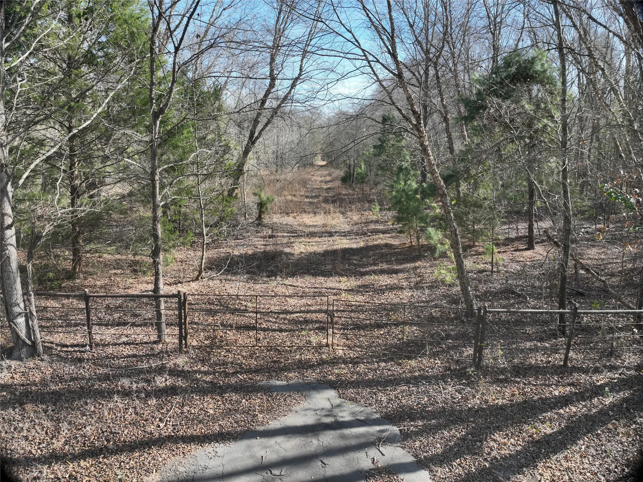 Unimproved Land For Sale in Wood County , TBD County Road 3170, Quitman, Texas 75783, 0, 0, Garage spaces, 0 Sqft, built in 0, Price $725,000, mls#21149889, Real Estate Agent in Quitman, Homes For Sale in Wood county, Homes For Sale in Quitman, Realtor in Quitman Texas, Real Estate Brokerage Independent Realty Texas, Luminita Cordes Realtor