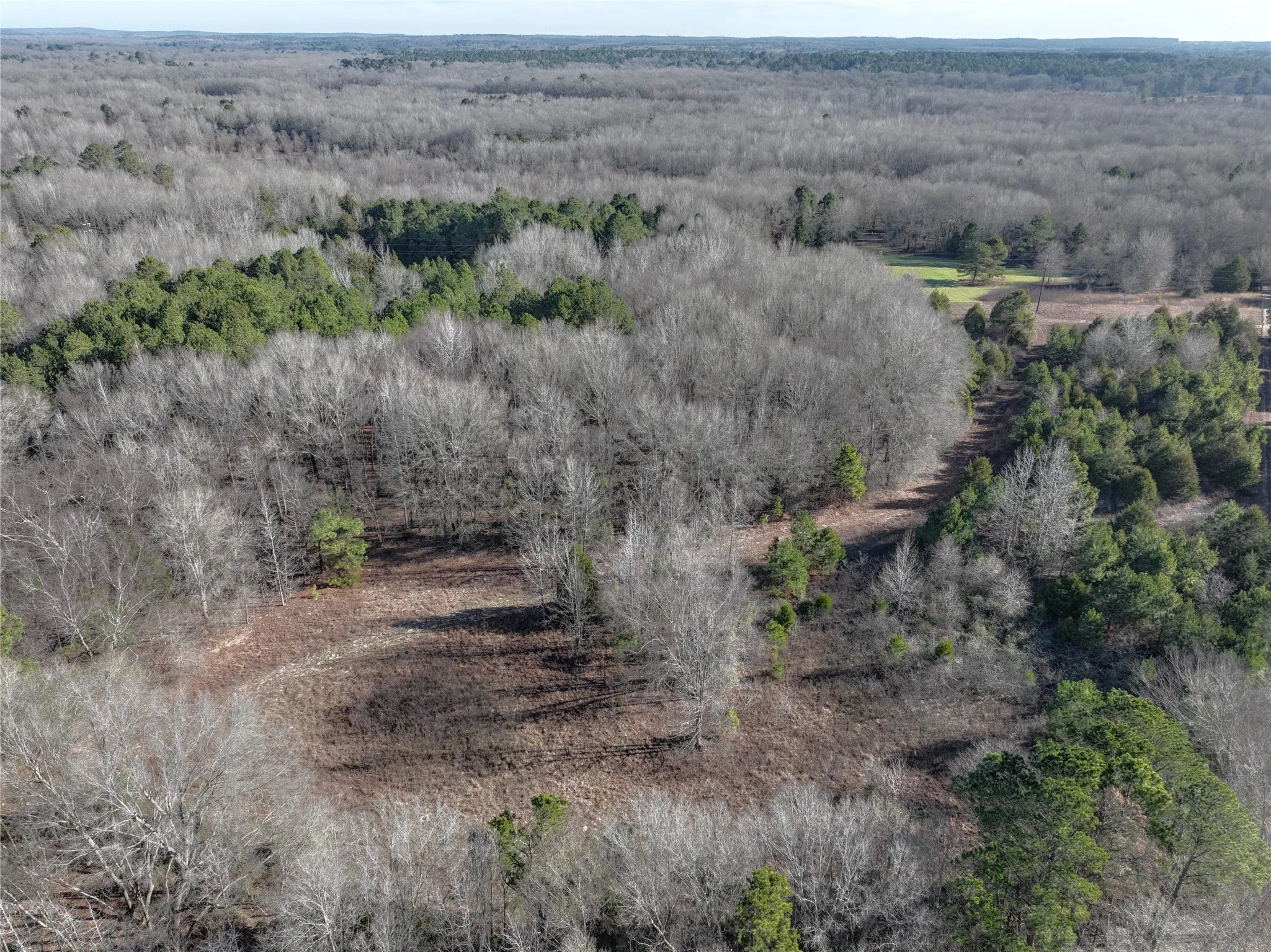 Unimproved Land For Sale in Wood County , TBD County Road 3170, Quitman, Texas 75783, 0, 0, Garage spaces, 0 Sqft, built in 0, Price $725,000, mls#21149889, Real Estate Agent in Quitman, Homes For Sale in Wood county, Homes For Sale in Quitman, Realtor in Quitman Texas, Real Estate Brokerage Independent Realty Texas, Luminita Cordes Realtor
