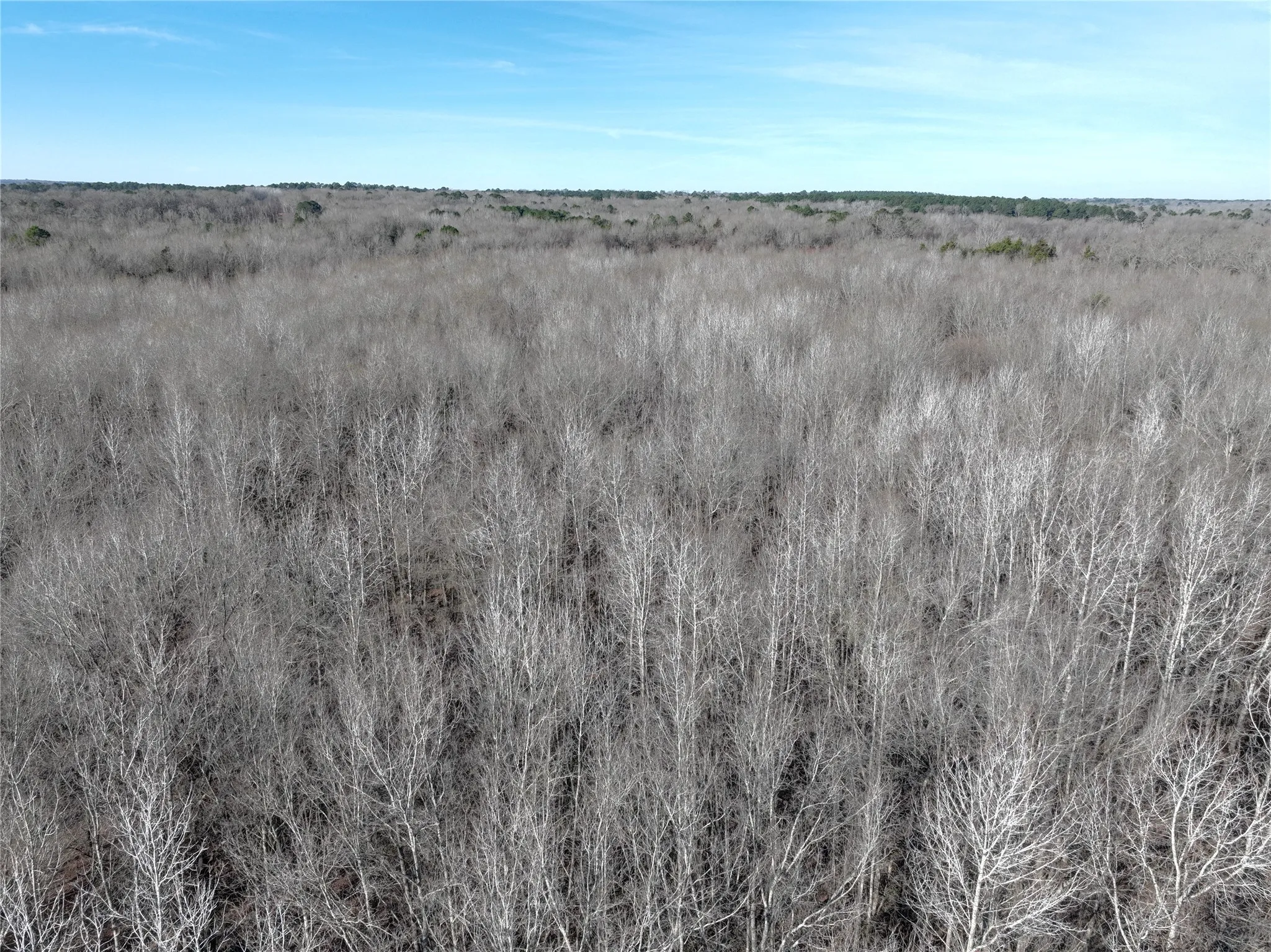Unimproved Land For Sale in Wood County , TBD County Road 3170, Quitman, Texas 75783, 0, 0, Garage spaces, 0 Sqft, built in 0, Price $725,000, mls#21149889, Real Estate Agent in Quitman, Homes For Sale in Wood county, Homes For Sale in Quitman, Realtor in Quitman Texas, Real Estate Brokerage Independent Realty Texas, Luminita Cordes Realtor